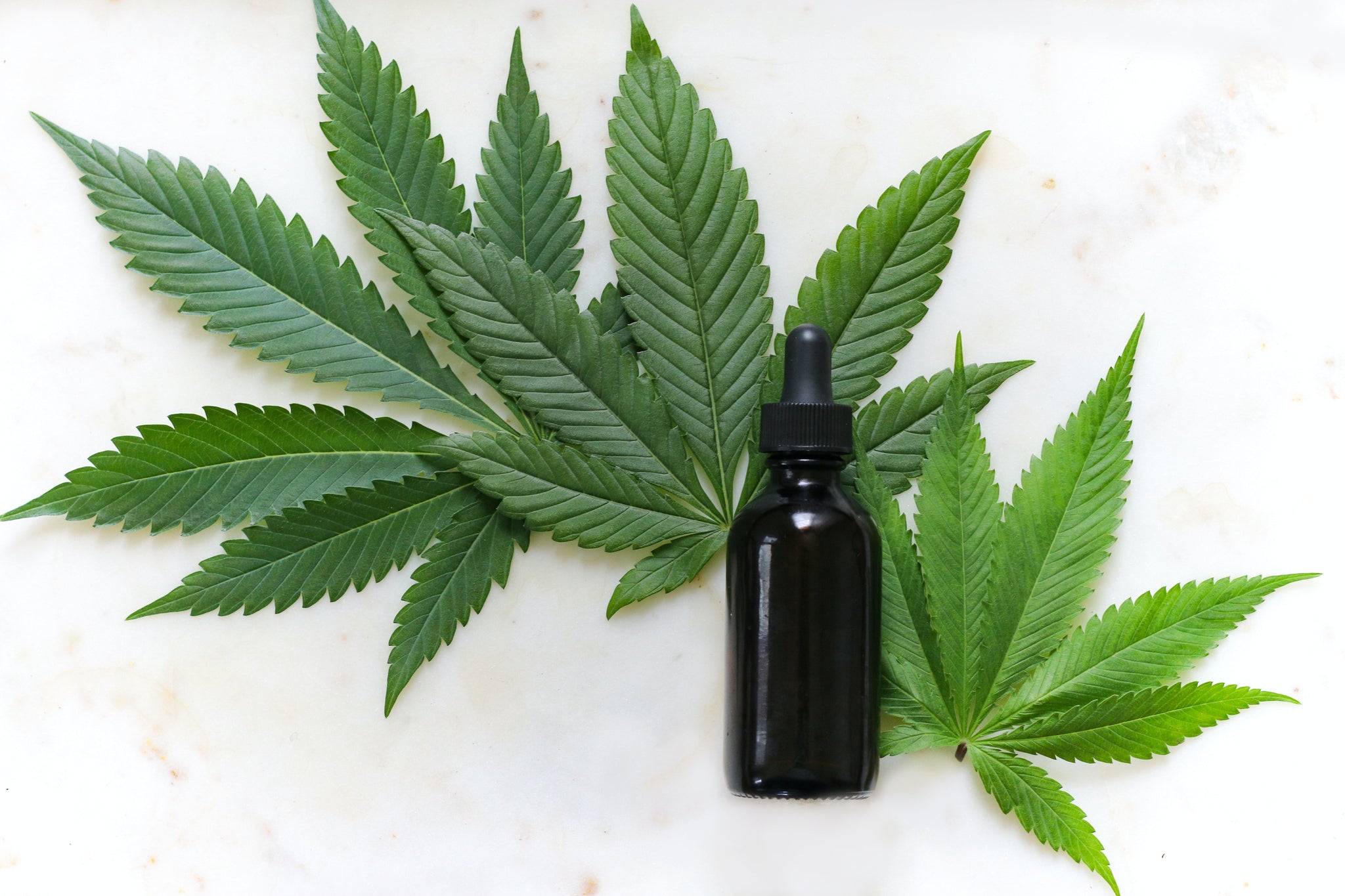 THC-Öl: Apotheke als Anlaufstelle für medizinisches Cannabisöl