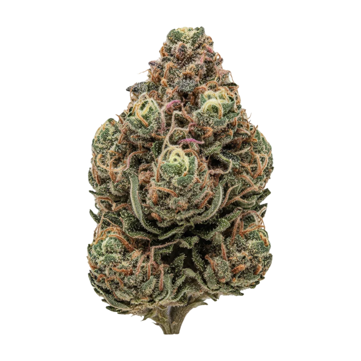 KI-generierte Illustration einer Cannabisblüte, zeigt nicht die tatsächliche Charge – 420 Evolution PVB "Private Banana"
