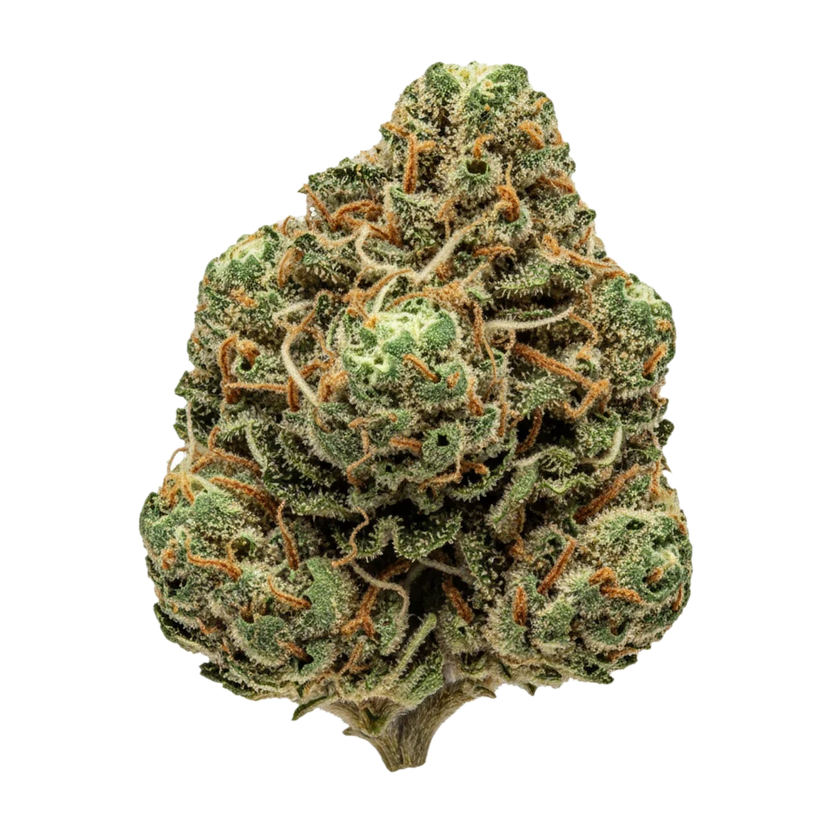 KI-generierte Illustration einer Cannabisblüte, zeigt nicht die tatsächliche Charge – 420 Evolution PCH "Peach Chementine"