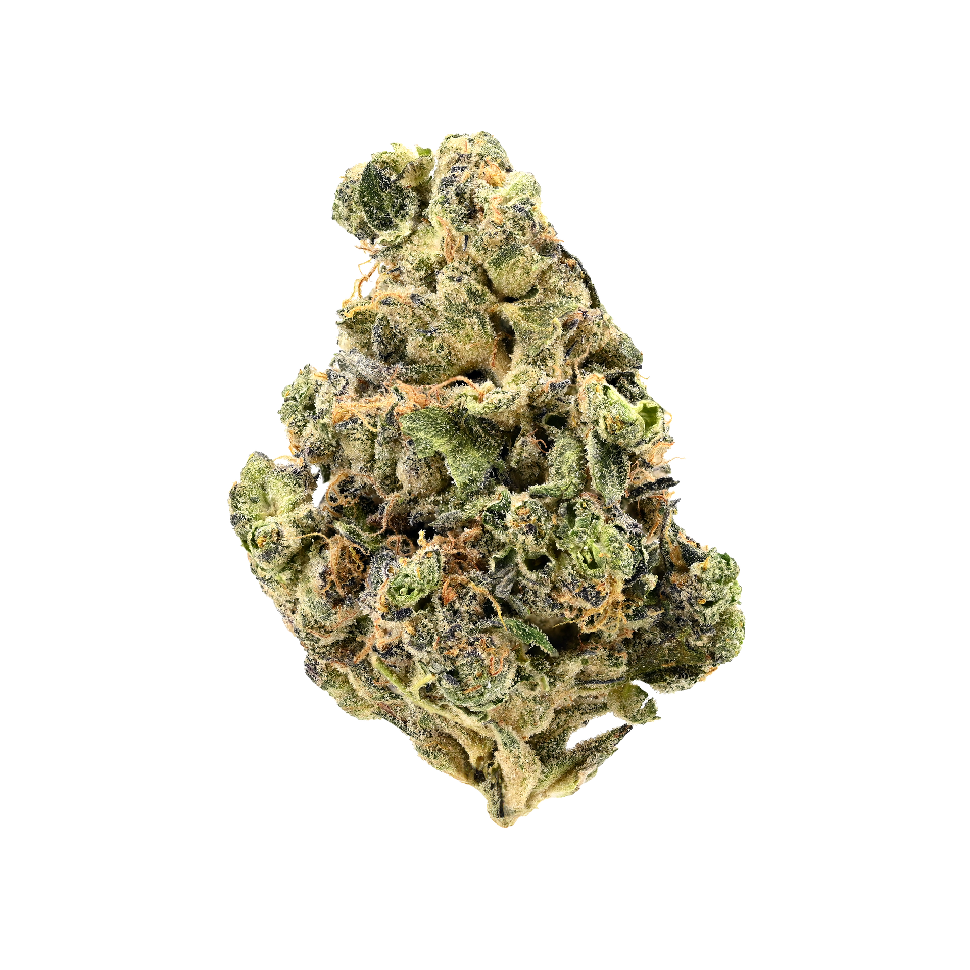 Luana 20/1 GSC "Girl Scout Cookies"