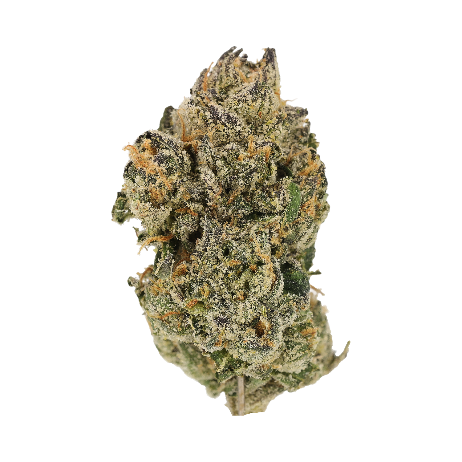 Cannamedical CM Craft 28/1 "Midnight Lotus"