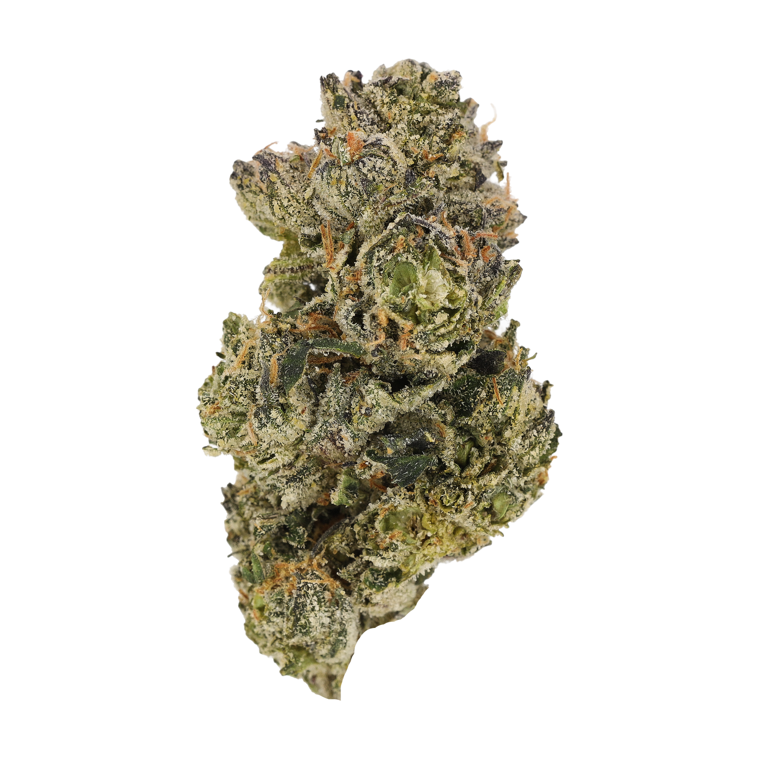 Cannamedical CM Craft 28/1 "Midnight Lotus"