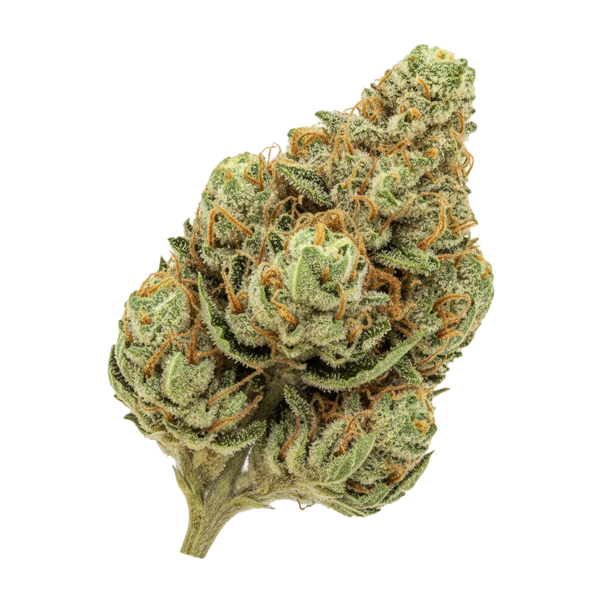 KI-generierte Illustration einer Cannabisblüte, zeigt nicht die tatsächliche Charge – A+ Kineo Craft No. 1 30/1 "Hash Burger"