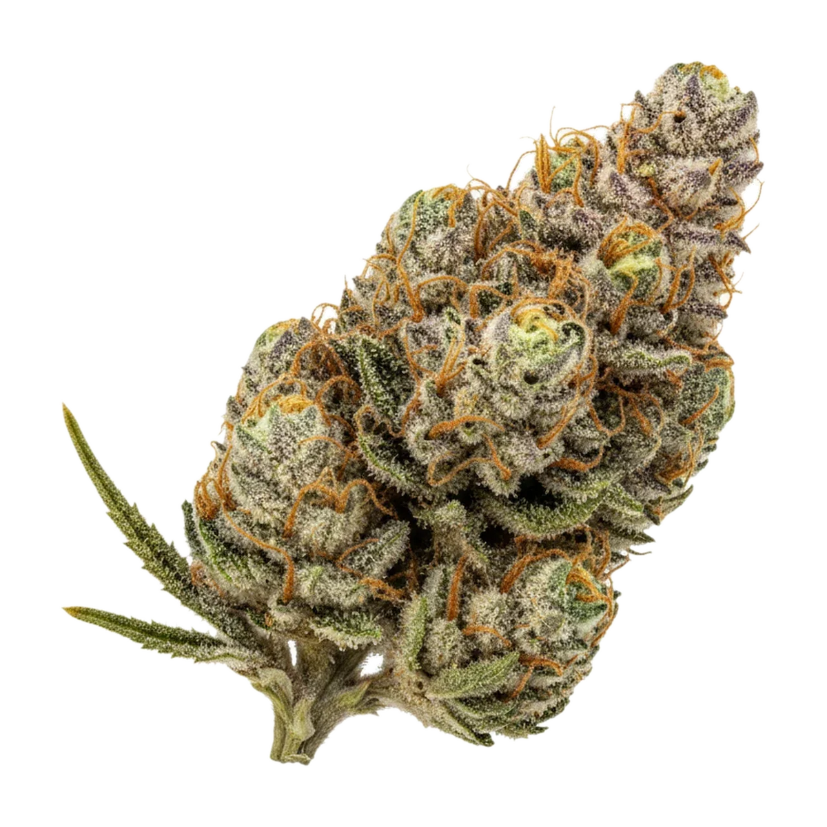 KI-generierte Illustration einer Cannabisblüte, zeigt nicht die tatsächliche Charge – Aleph Ruby 24/1 "Kosher Tangie"
