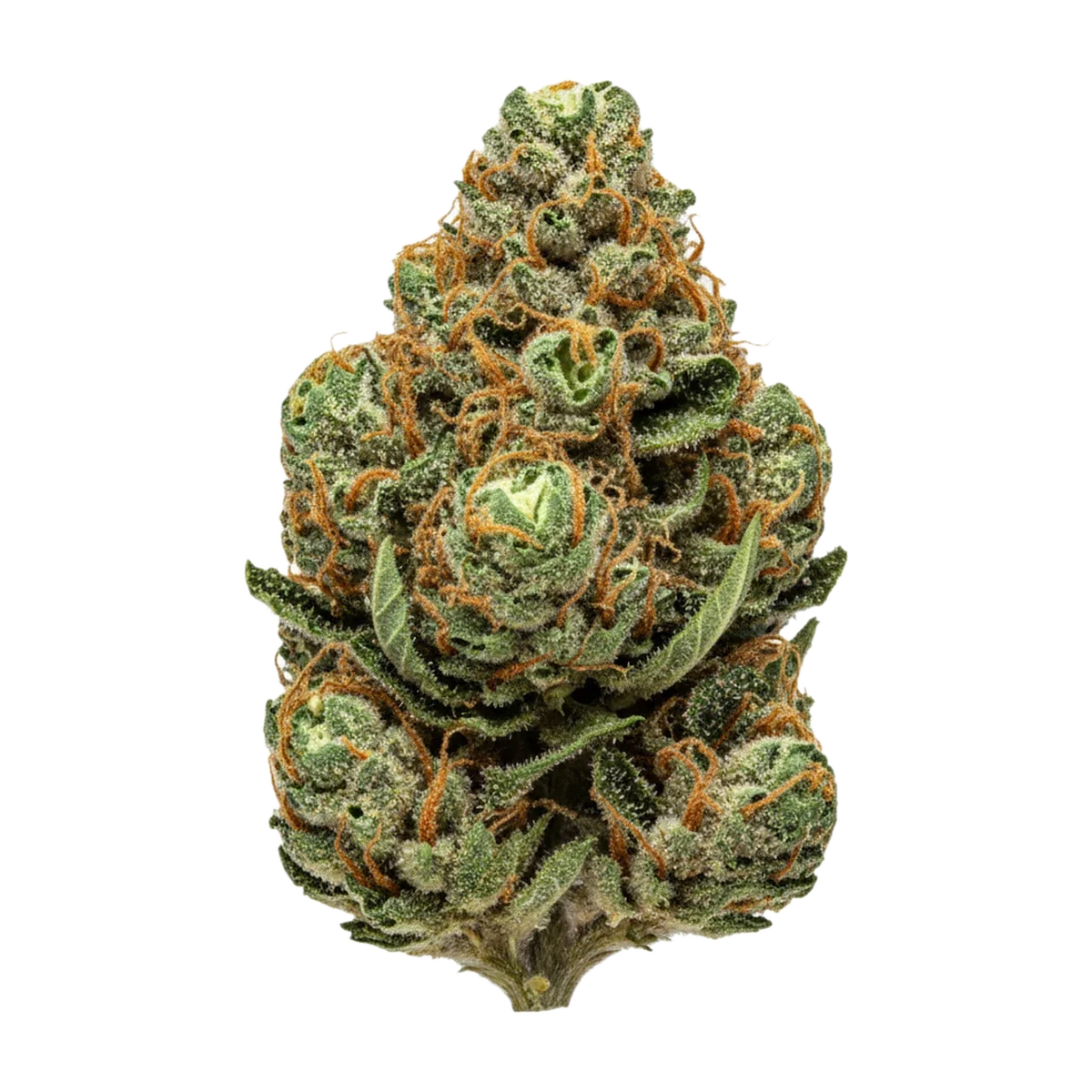 KI-generierte Illustration einer Cannabisblüte, zeigt nicht die tatsächliche Charge – avaay 22/1 MOS "Mo's Sunset"