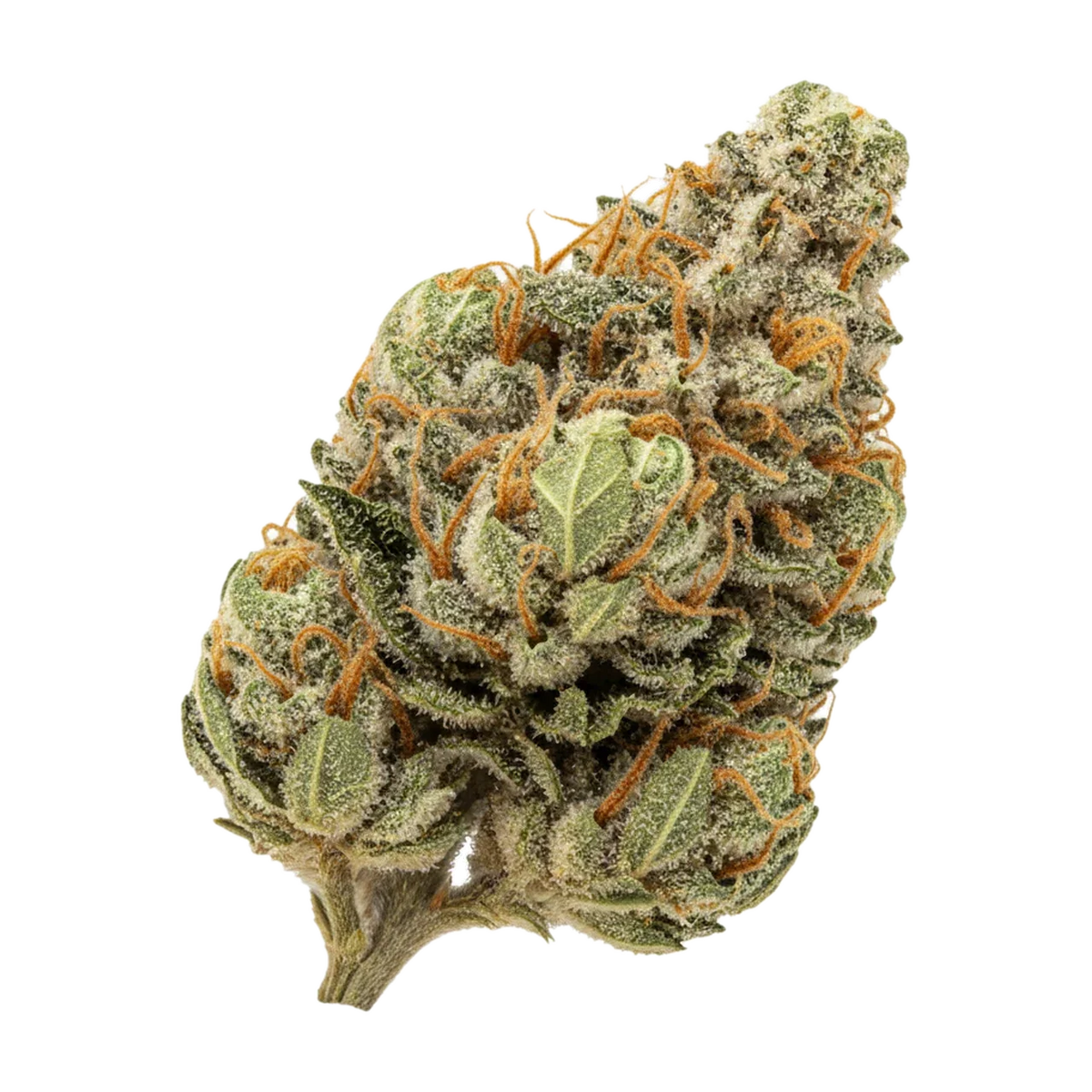 KI-generierte Illustration einer Cannabisblüte, zeigt nicht die tatsächliche Charge – avaay SCP "Sour Cherry Punch"