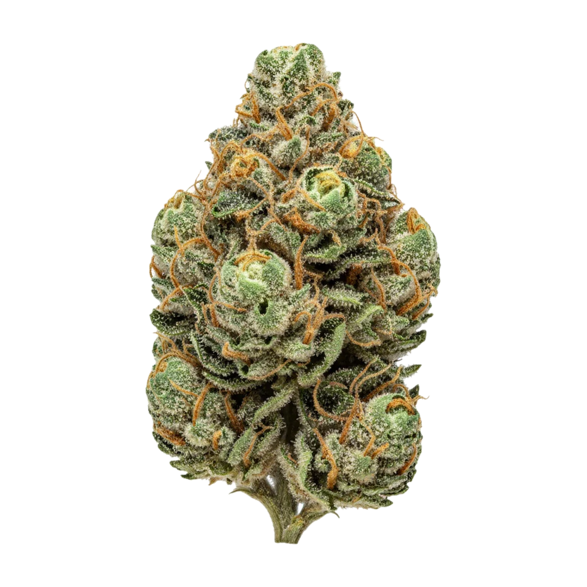 KI-generierte Illustration einer Cannabisblüte, zeigt nicht die tatsächliche Charge – avaay Signature 27/1 ARC "Apple Rock Candy"