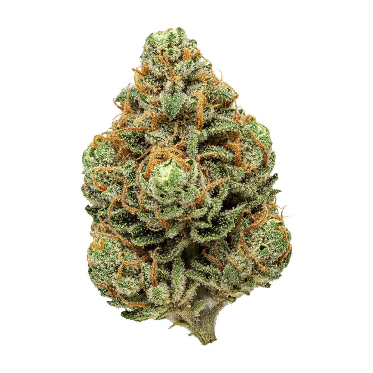 KI-generierte Illustration einer Cannabisblüte, zeigt nicht die tatsächliche Charge – avaay Signature OGC "Ocean Grown Cookies"