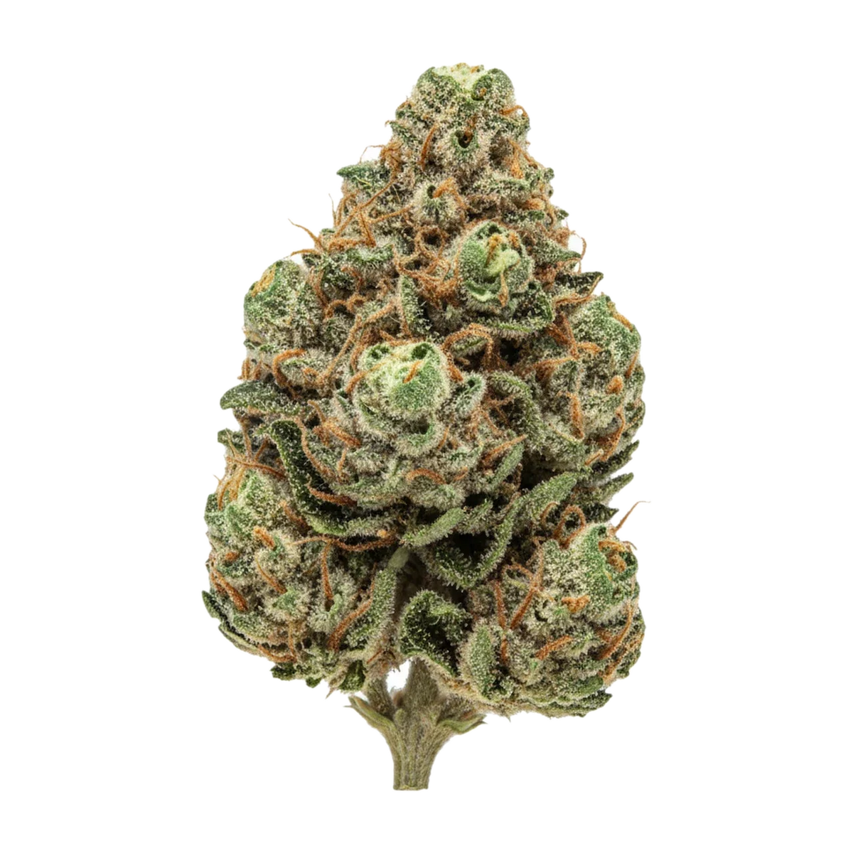 KI-generierte Illustration einer Cannabisblüte, zeigt nicht die tatsächliche Charge – Budza 24/1 WRZ "White Runtz"