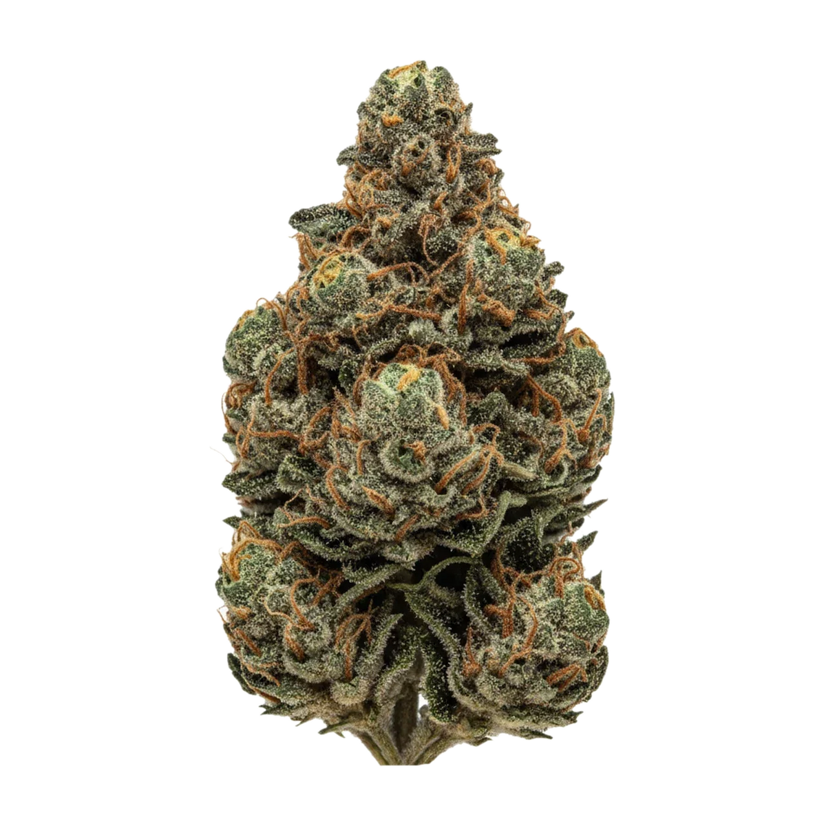 KI-generierte Illustration einer Cannabisblüte, zeigt nicht die tatsächliche Charge – Cannamedical CM 24/1 "Creamy Kee's No.5"
