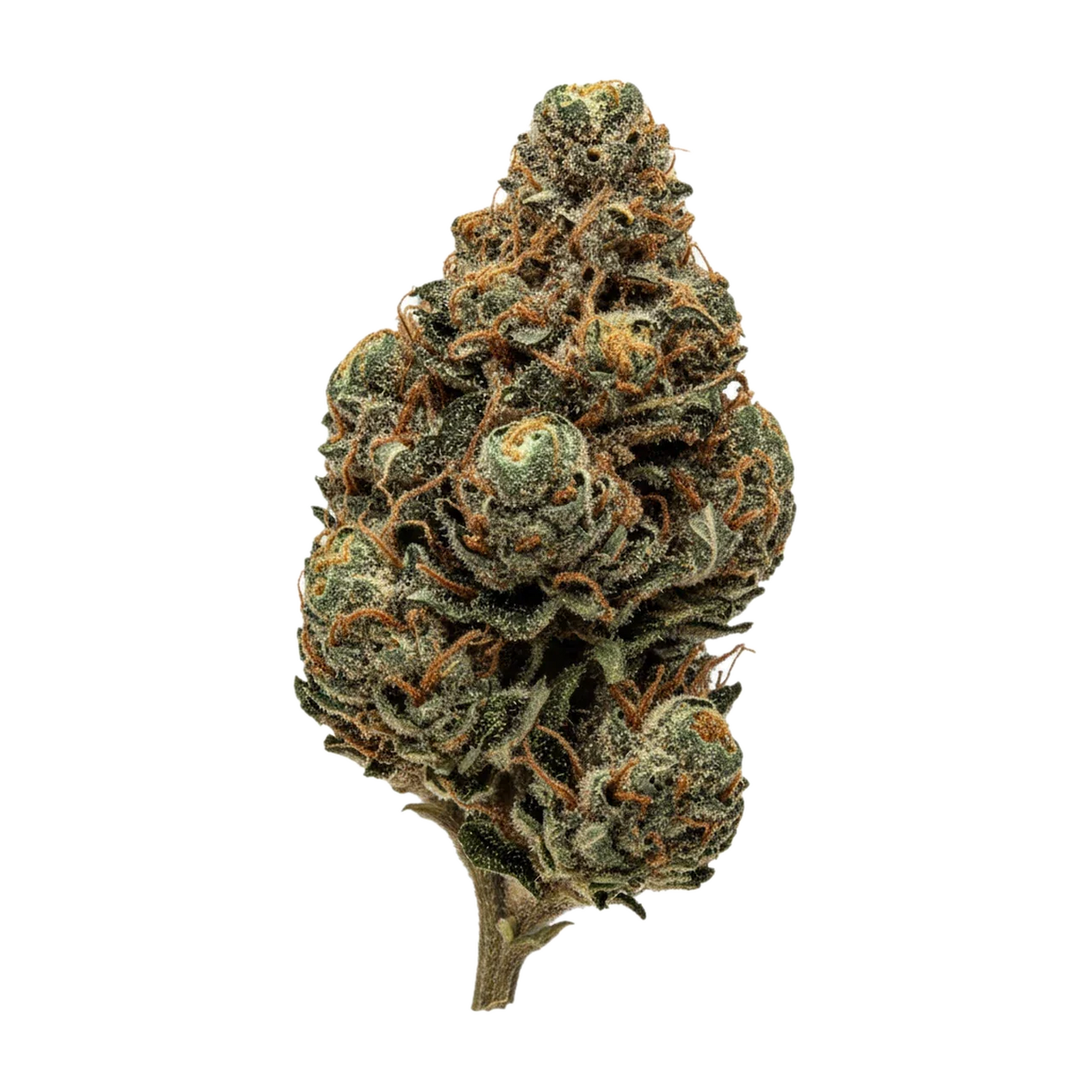 KI-generierte Illustration einer Cannabisblüte, zeigt nicht die tatsächliche Charge – Cannamedical CM CRM 20/1 "Creamy Kee's"