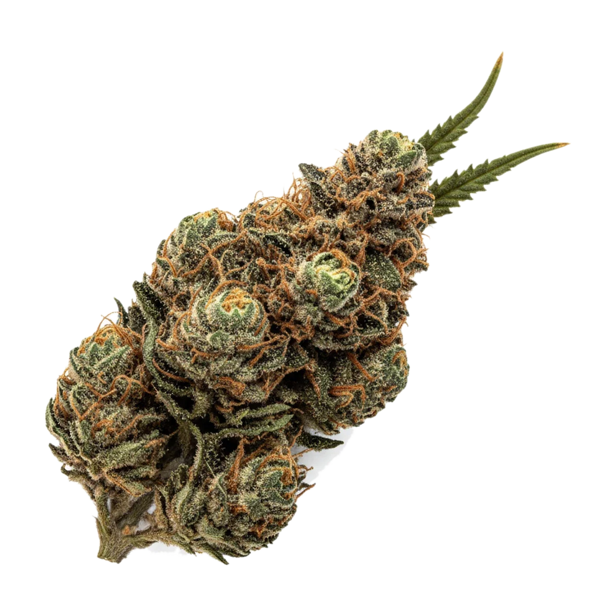 KI-generierte Illustration einer Cannabisblüte, zeigt nicht die tatsächliche Charge – Cannamedical Hybrid Classic DK 20/1 "Fullgas"