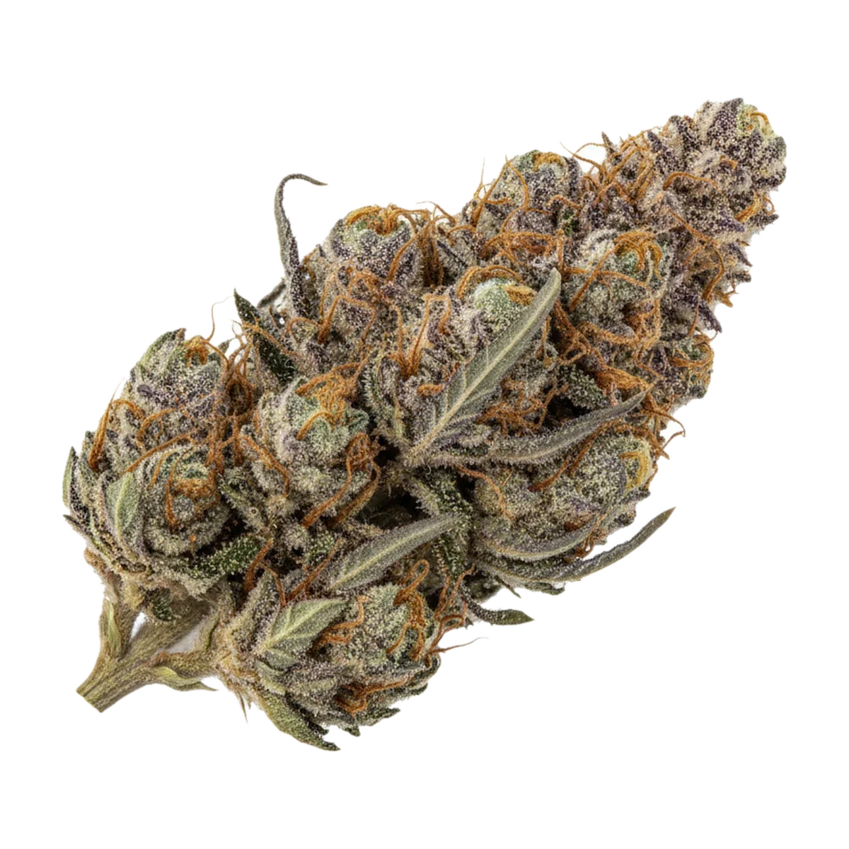 KI-generierte Illustration einer Cannabisblüte, zeigt nicht die tatsächliche Charge – Cannamedical Hybrid Forte NM 22/1 "Gorilla Zkittlez"