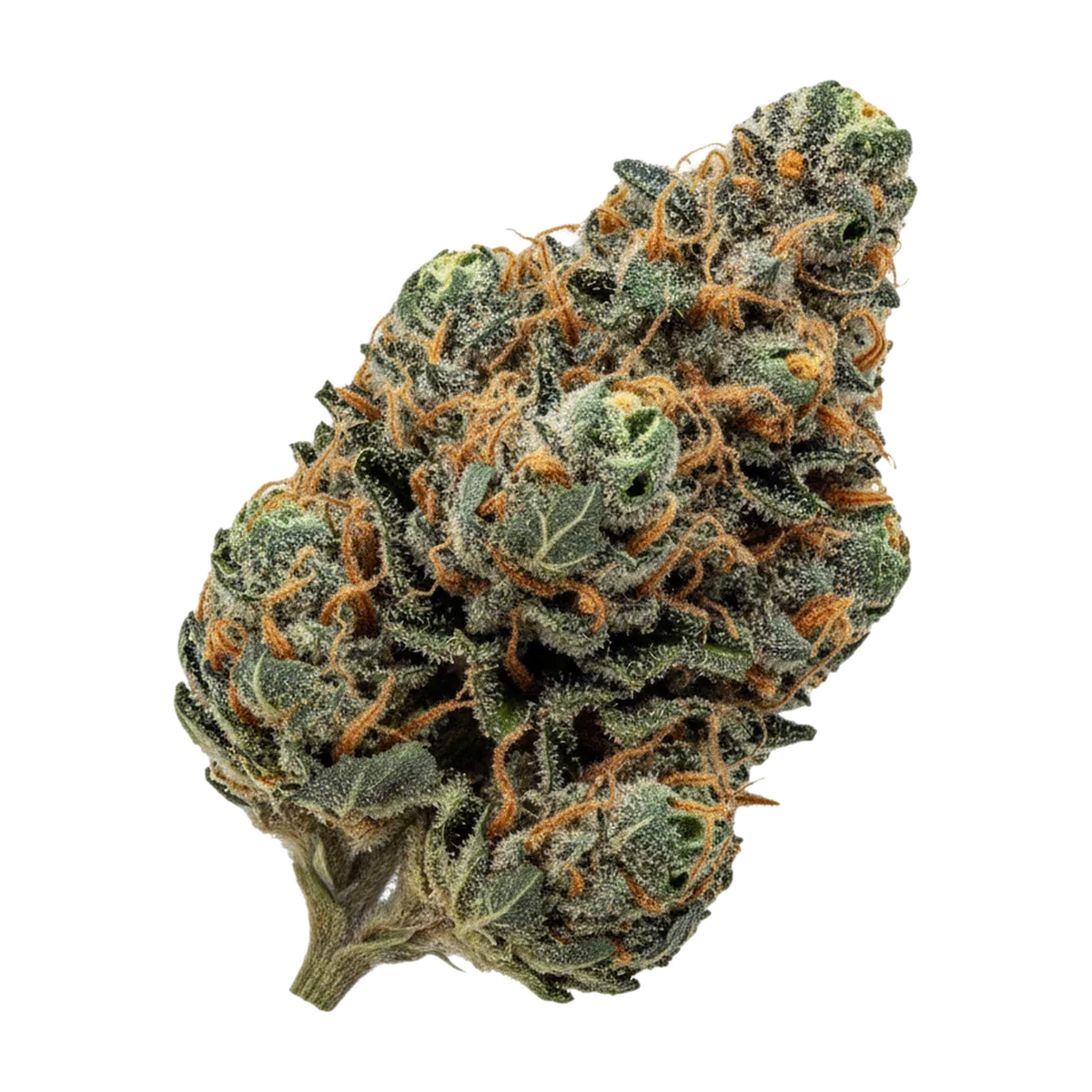 KI-generierte Illustration einer Cannabisblüte, zeigt nicht die tatsächliche Charge – Cannamedical Indica Classic ZAF 20/1 "Dank Wafers"