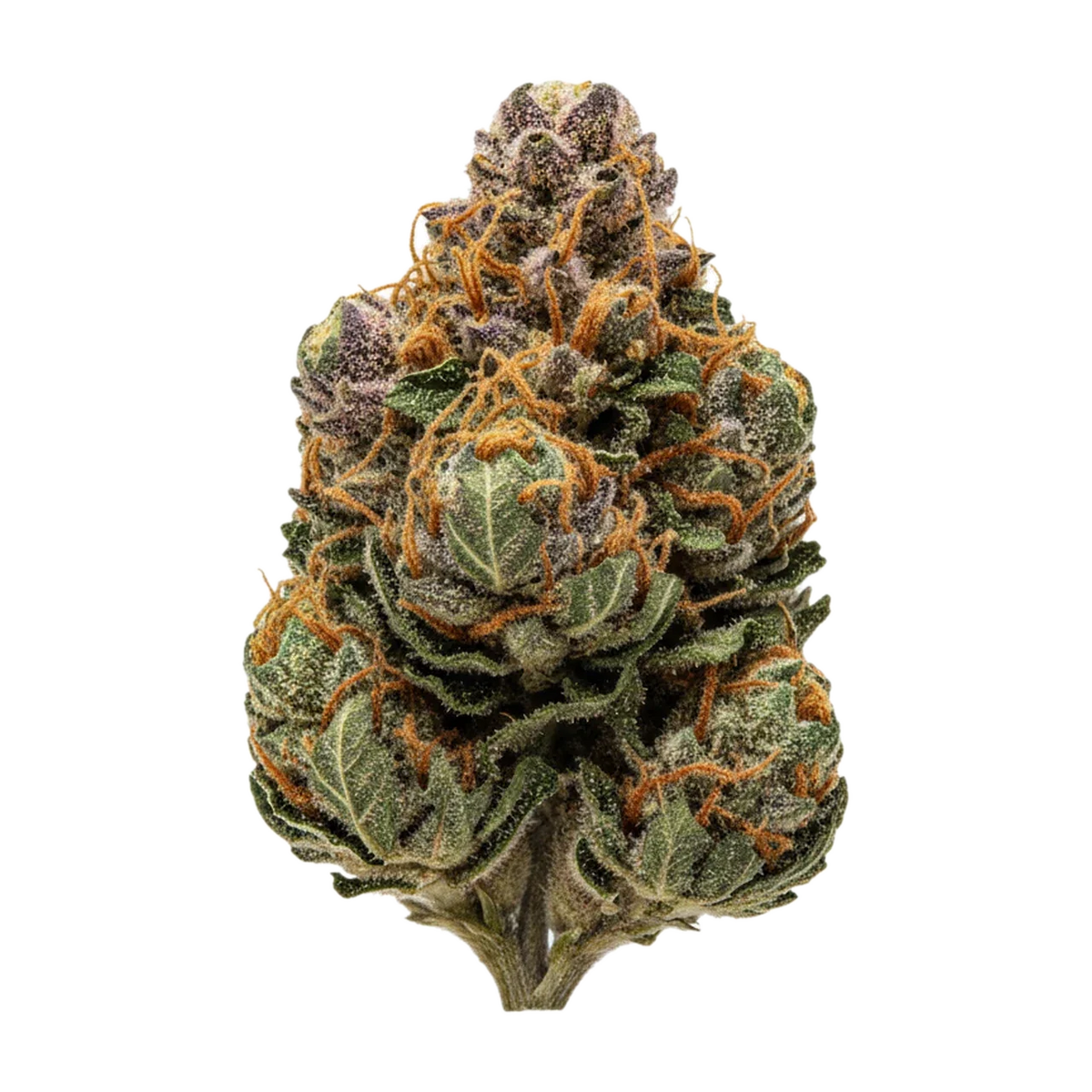 KI-generierte Illustration einer Cannabisblüte, zeigt nicht die tatsächliche Charge – Cannamedical Indica Light ZAF 18/1 "Strawberry Lemonade"