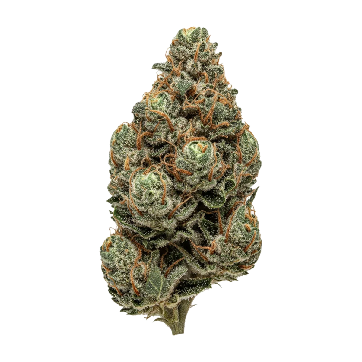 KI-generierte Illustration einer Cannabisblüte, zeigt nicht die tatsächliche Charge – Cannamedical Sativa "Gelato Dream"