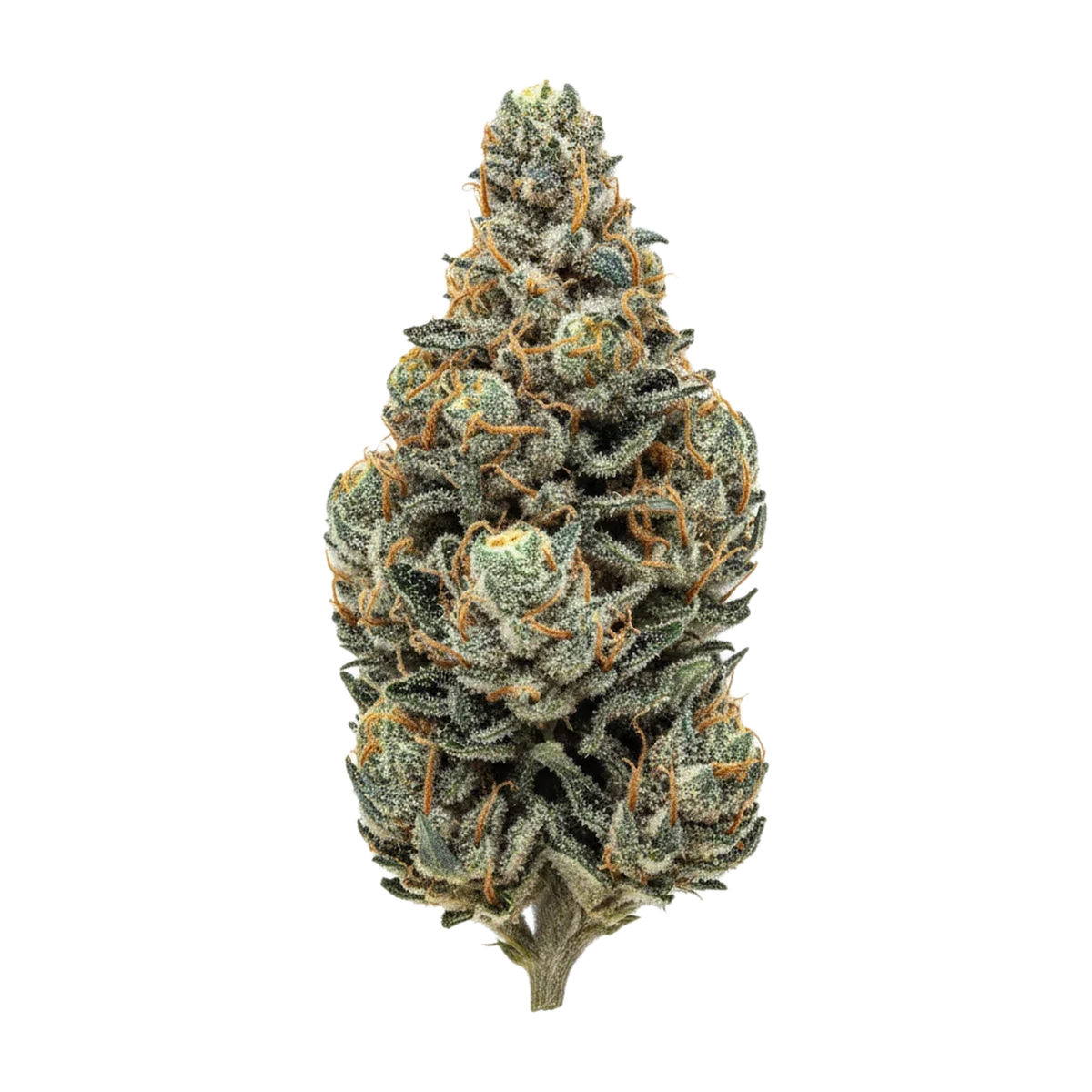 KI-generierte Illustration einer Cannabisblüte, zeigt nicht die tatsächliche Charge – Cannamedical Sativa Ultra ES 31/1 "Chem de la Chem"