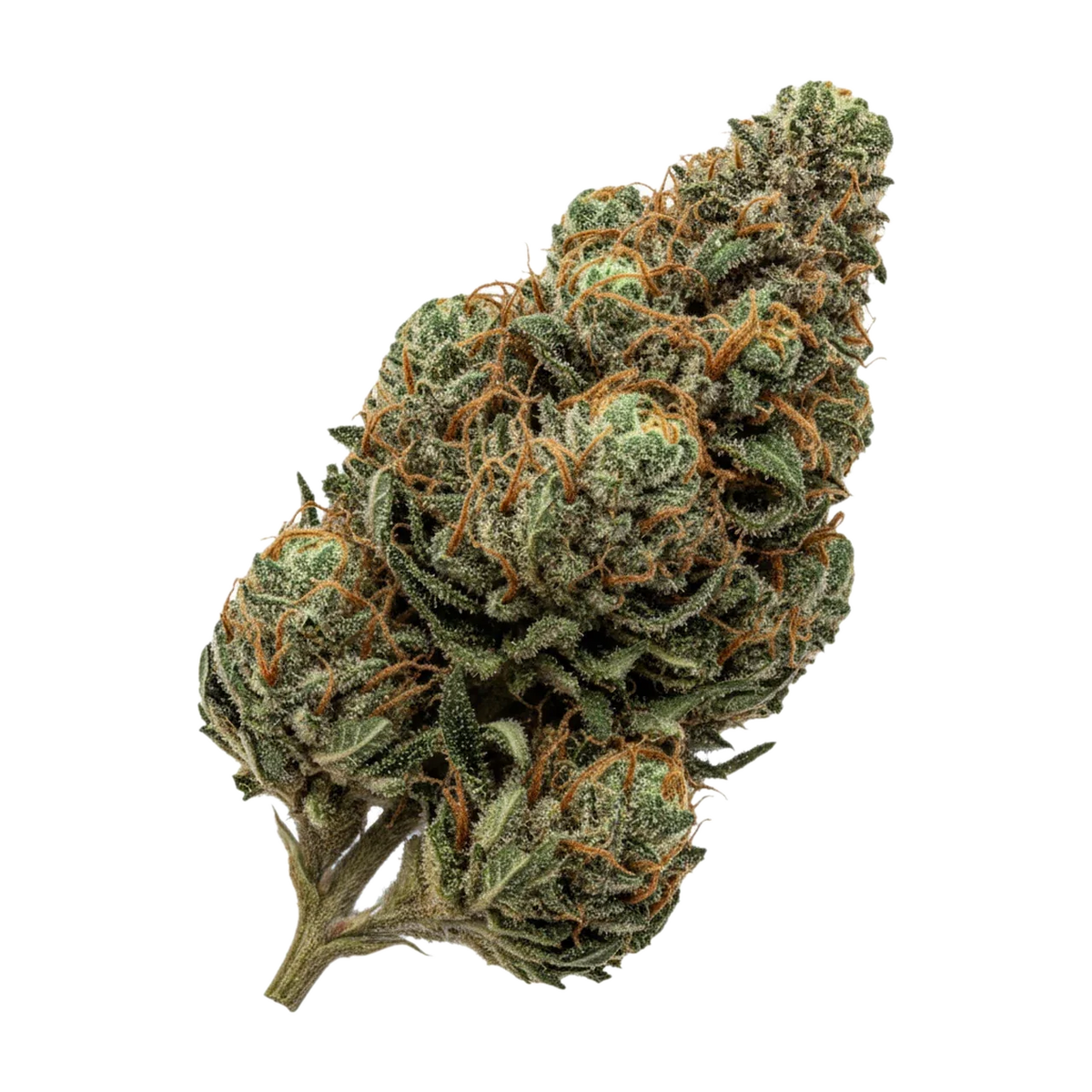 KI-generierte Illustration einer Cannabisblüte, zeigt nicht die tatsächliche Charge – Cannamedical Sativa Vita 14/1 "Lavender Clouds"
