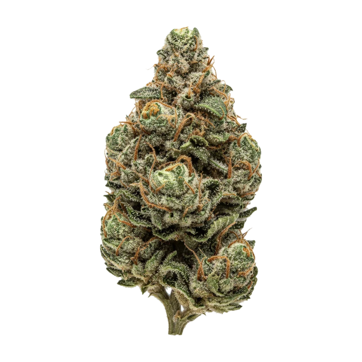 KI-generierte Illustration einer Cannabisblüte, zeigt nicht die tatsächliche Charge – Ceres RP 32/1 "Rainbow Pave"