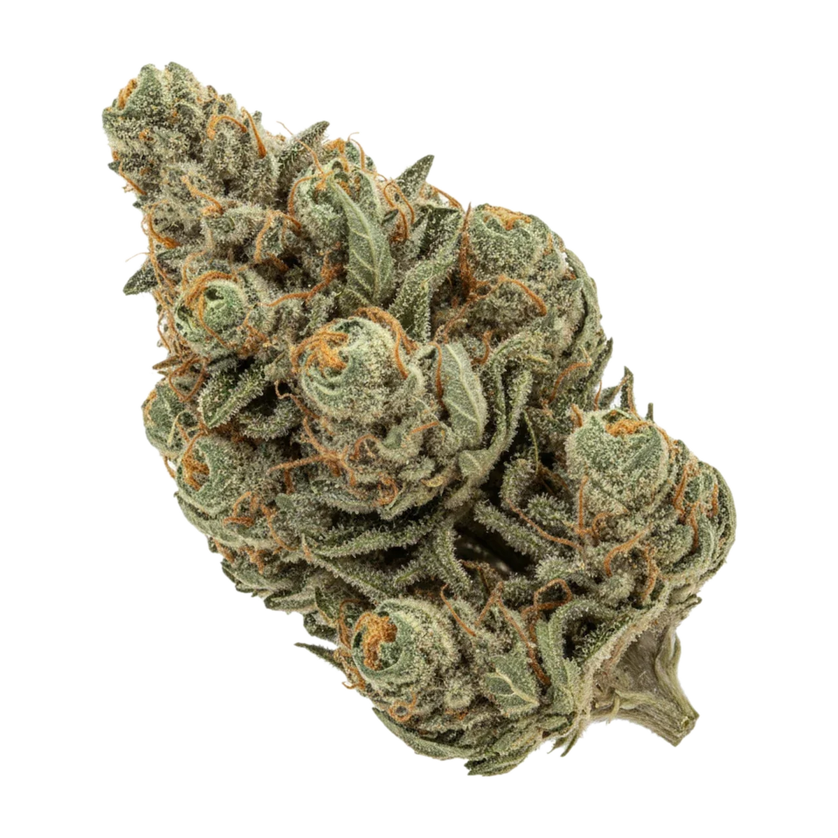 KI-generierte Illustration einer Cannabisblüte, zeigt nicht die tatsächliche Charge – Daily Special LES "Lemon Sorbet"