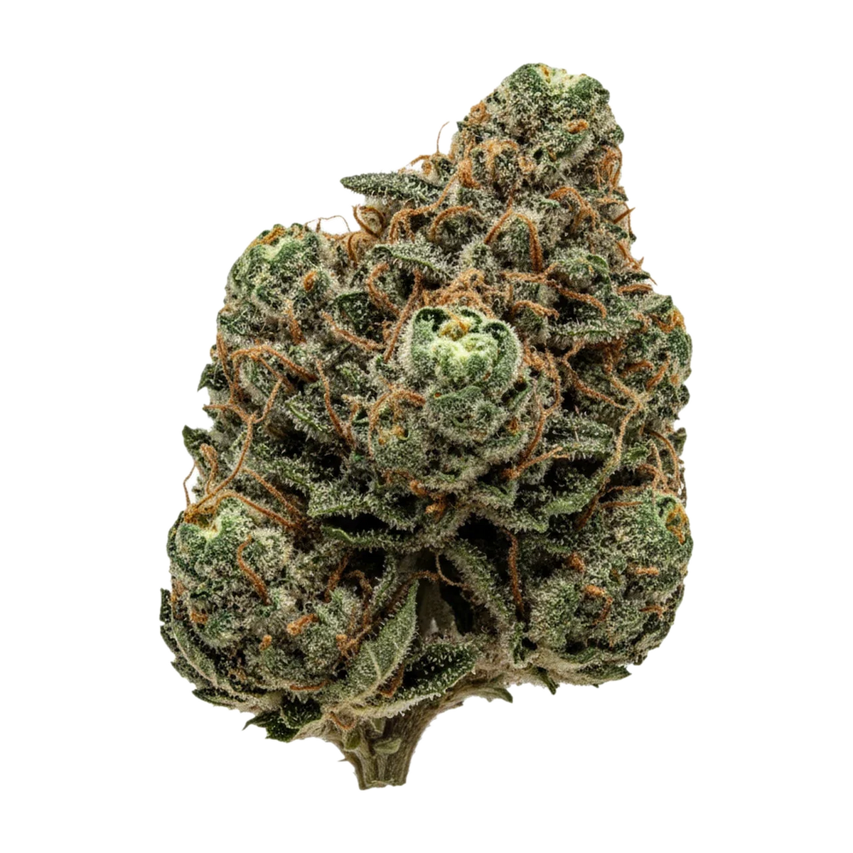 KI-generierte Illustration einer Cannabisblüte, zeigt nicht die tatsächliche Charge – DEMECAN BPG Lean Drop 22/1 "Big Red Beard"