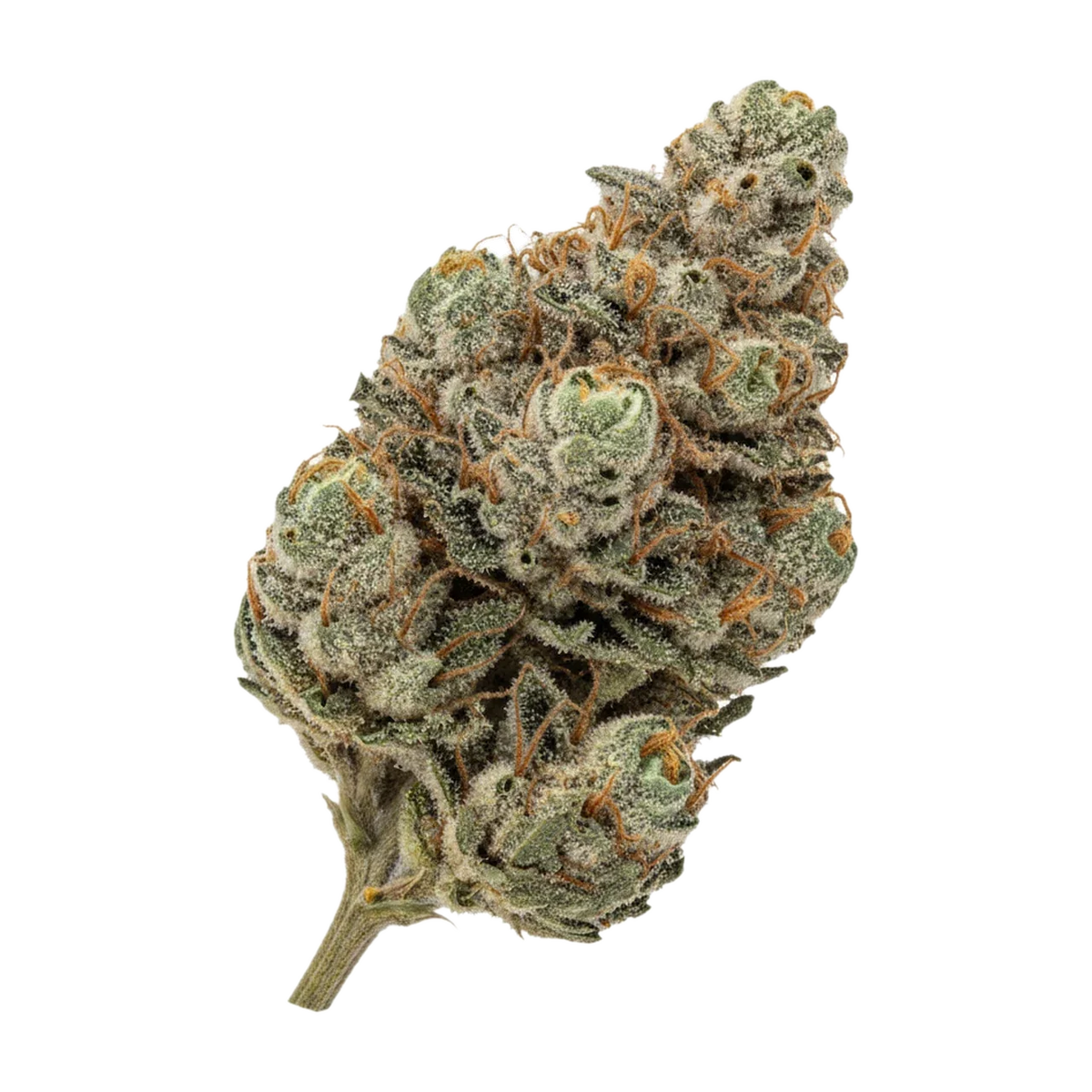 KI-generierte Illustration einer Cannabisblüte, zeigt nicht die tatsächliche Charge – DEMECAN Core Cros 26/1 "Crossbow"