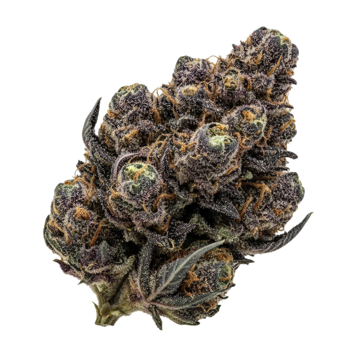 KI-generierte Illustration einer Cannabisblüte, zeigt nicht die tatsächliche Charge – DEMECAN Core Golden Horizon "Golden GOAT"