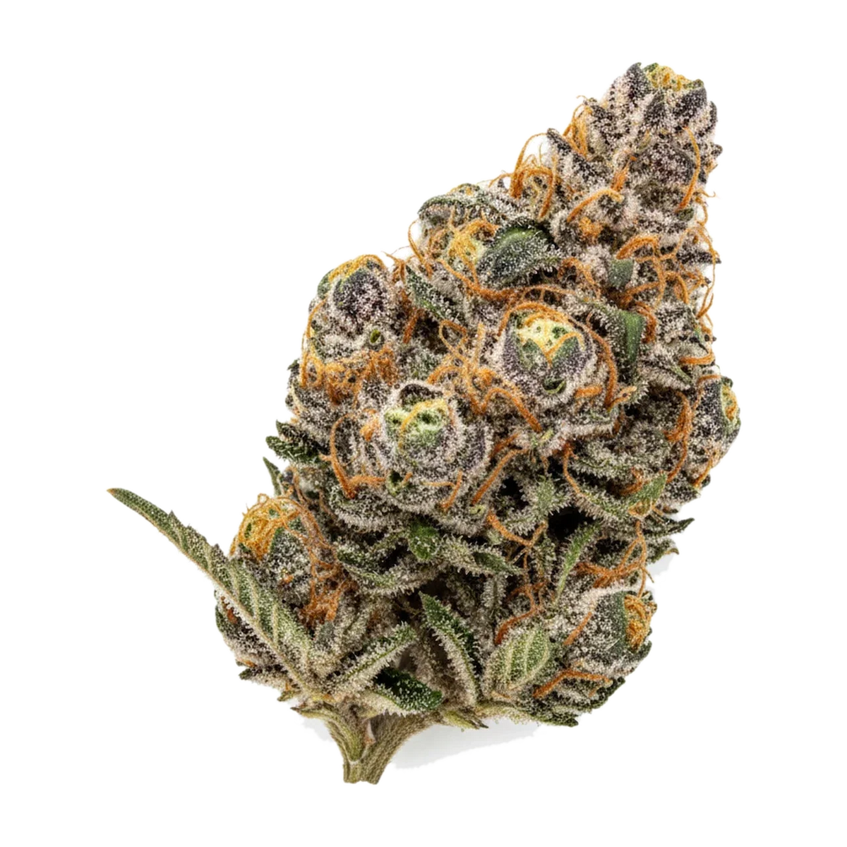 KI-generierte Illustration einer Cannabisblüte, zeigt nicht die tatsächliche Charge – DEMECAN Core Sunshine Pure 25/1 "Tropicana Cookies"