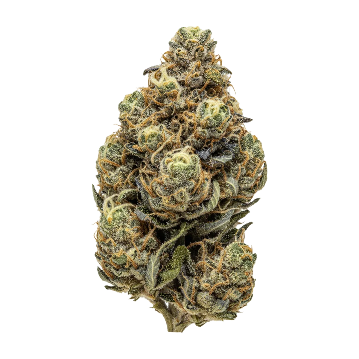 KI-generierte Illustration einer Cannabisblüte, zeigt nicht die tatsächliche Charge – DEMECAN Craft FCF "First Class Funk"