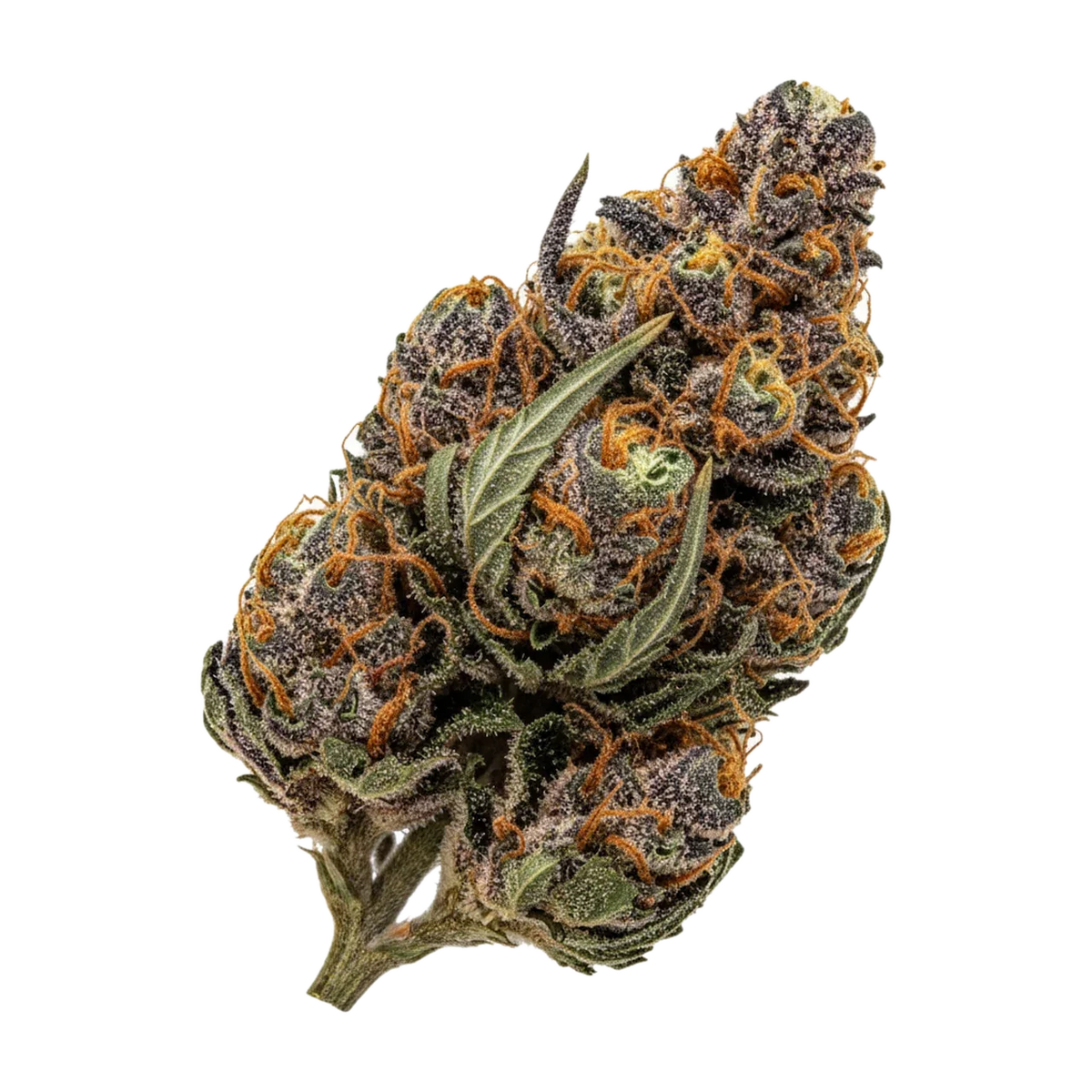 KI-generierte Illustration einer Cannabisblüte, zeigt nicht die tatsächliche Charge – DEMECAN Craft Luna 31/1 "Peechy Keen"