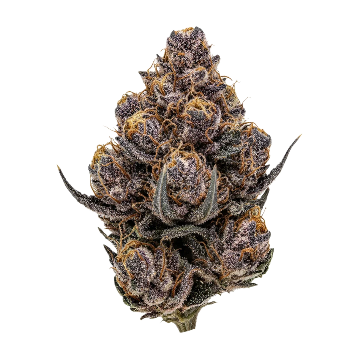KI-generierte Illustration einer Cannabisblüte, zeigt nicht die tatsächliche Charge – DEMECAN Craft Pulso "Liquid Imagination"