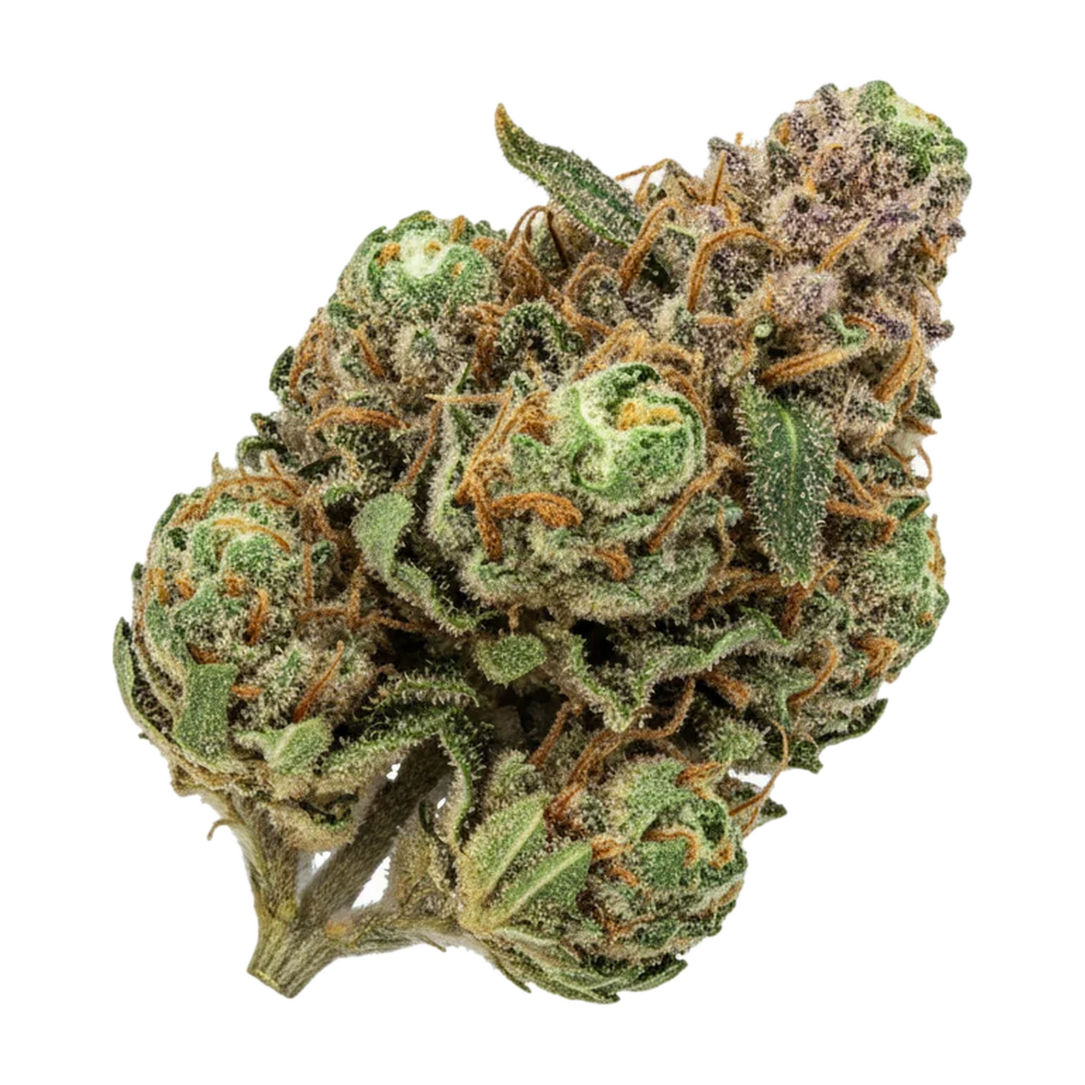 KI-generierte Illustration einer Cannabisblüte, zeigt nicht die tatsächliche Charge – DEMECAN Craft Rocket "Pave x Gastro Pop"