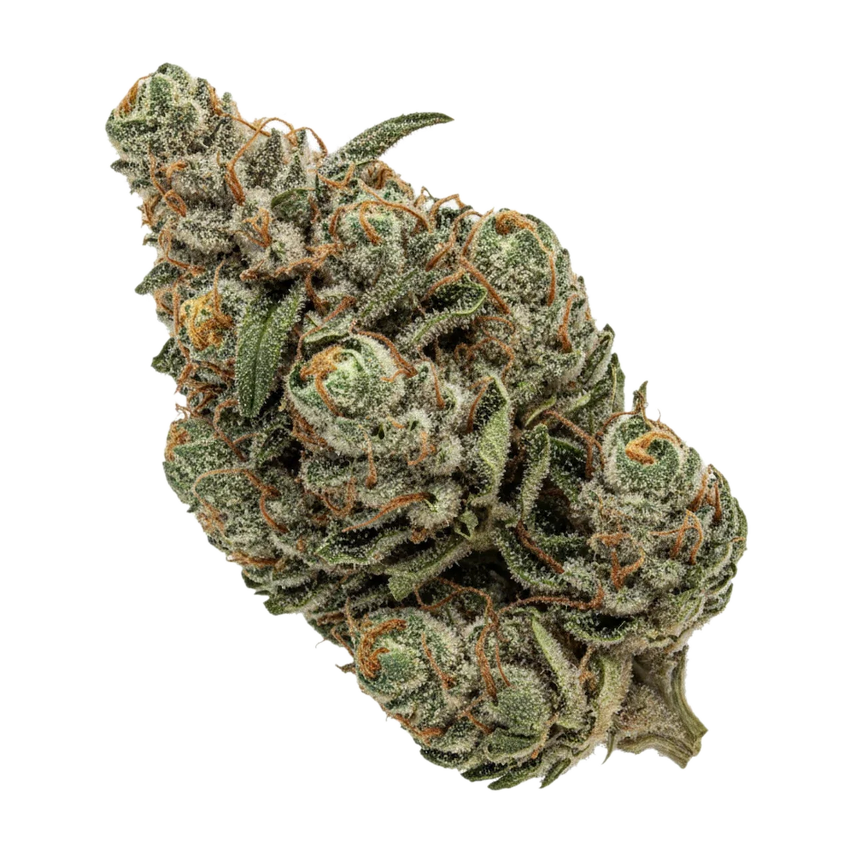 KI-generierte Illustration einer Cannabisblüte, zeigt nicht die tatsächliche Charge – DEMECAN Craft Serenova 31/1 "Cap Junky"