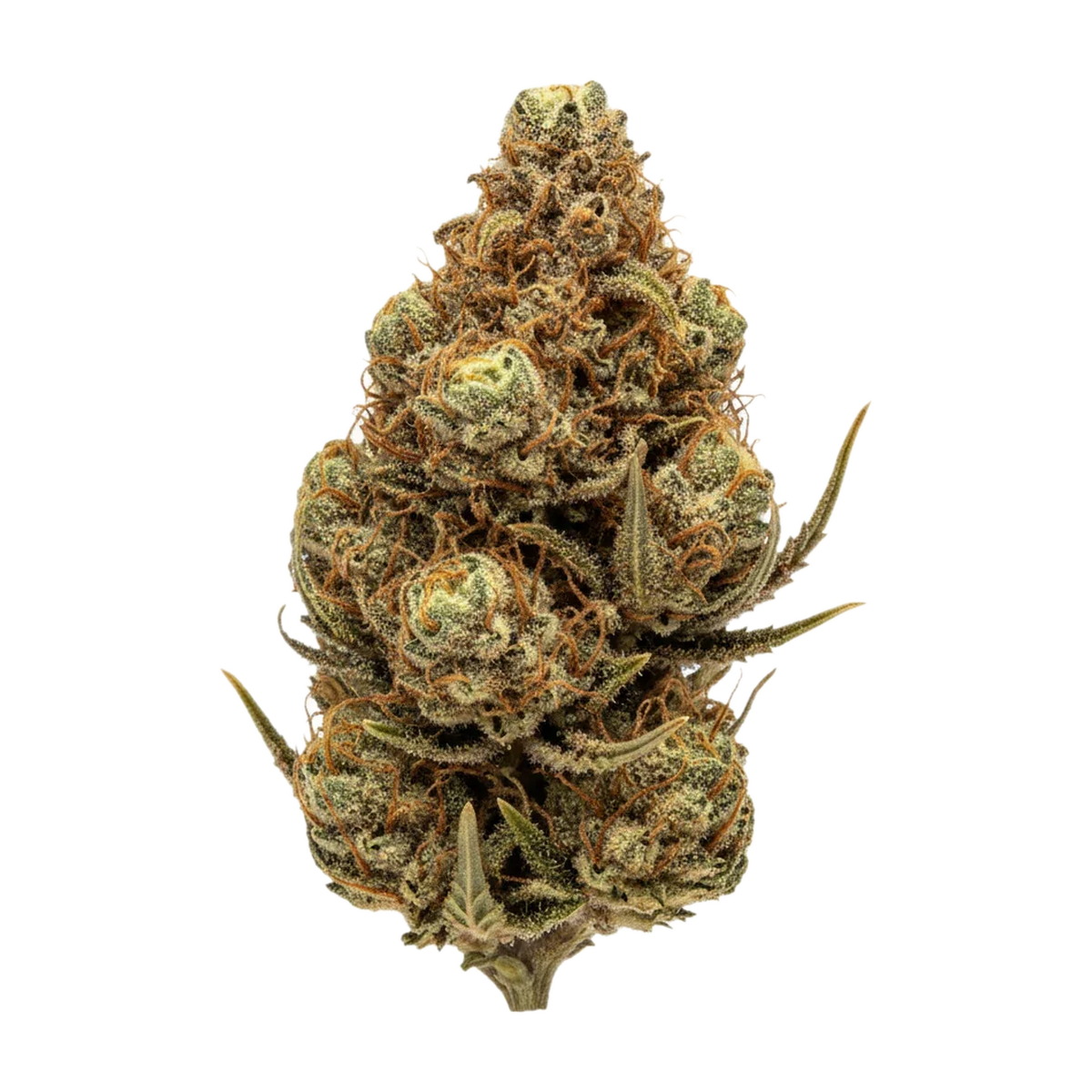 KI-generierte Illustration einer Cannabisblüte, zeigt nicht die tatsächliche Charge – DEMECAN Craft Walkie Talkie "Sugar Cake"
