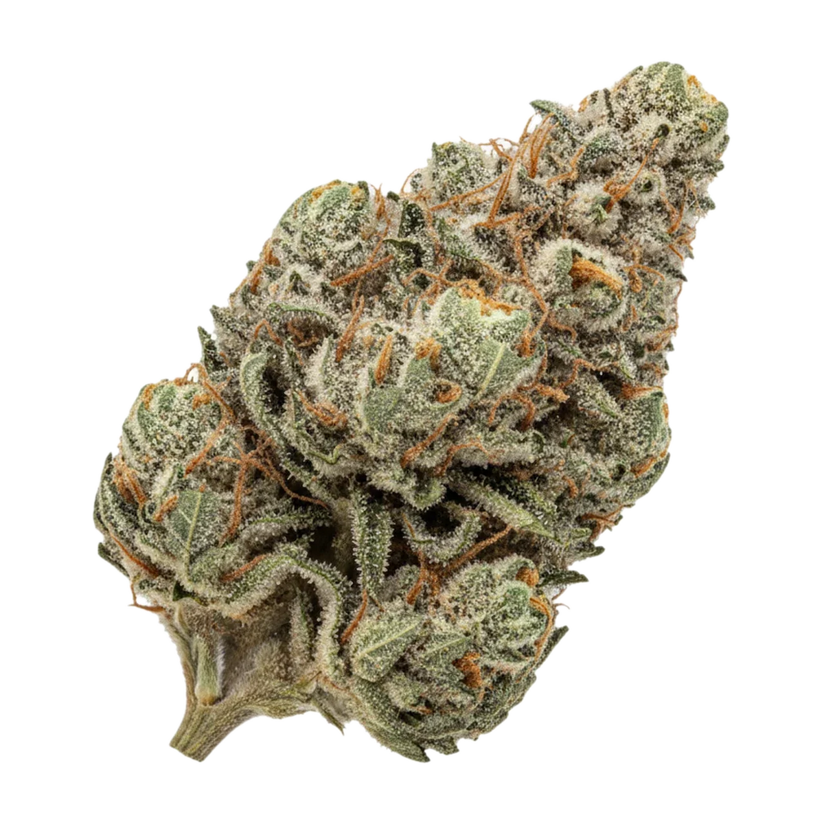 KI-generierte Illustration einer Cannabisblüte, zeigt nicht die tatsächliche Charge – DEMECAN PG "Gas Face"