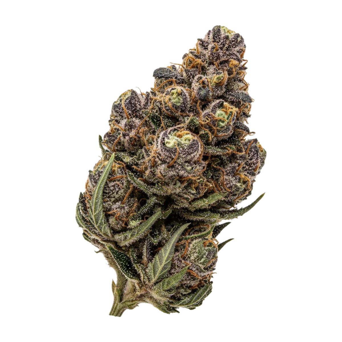 KI-generierte Illustration einer Cannabisblüte, zeigt nicht die tatsächliche Charge – Siggis KBLT "Kirschblüte"