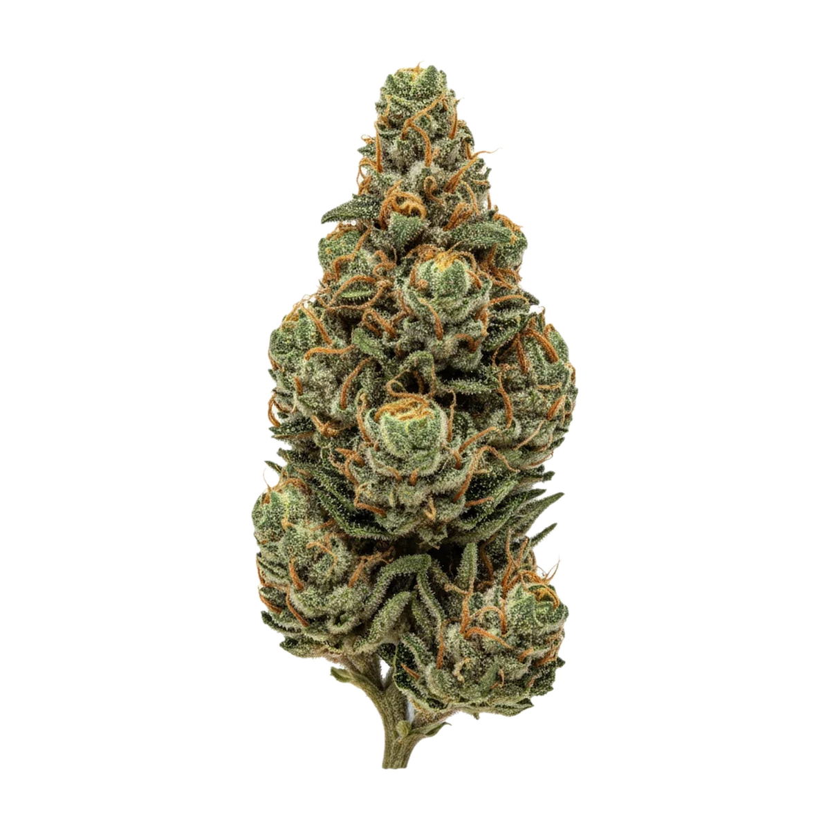 KI-generierte Illustration einer Cannabisblüte, zeigt nicht die tatsächliche Charge – Siggis WBLT 22/1 "Waldbeerblüte"