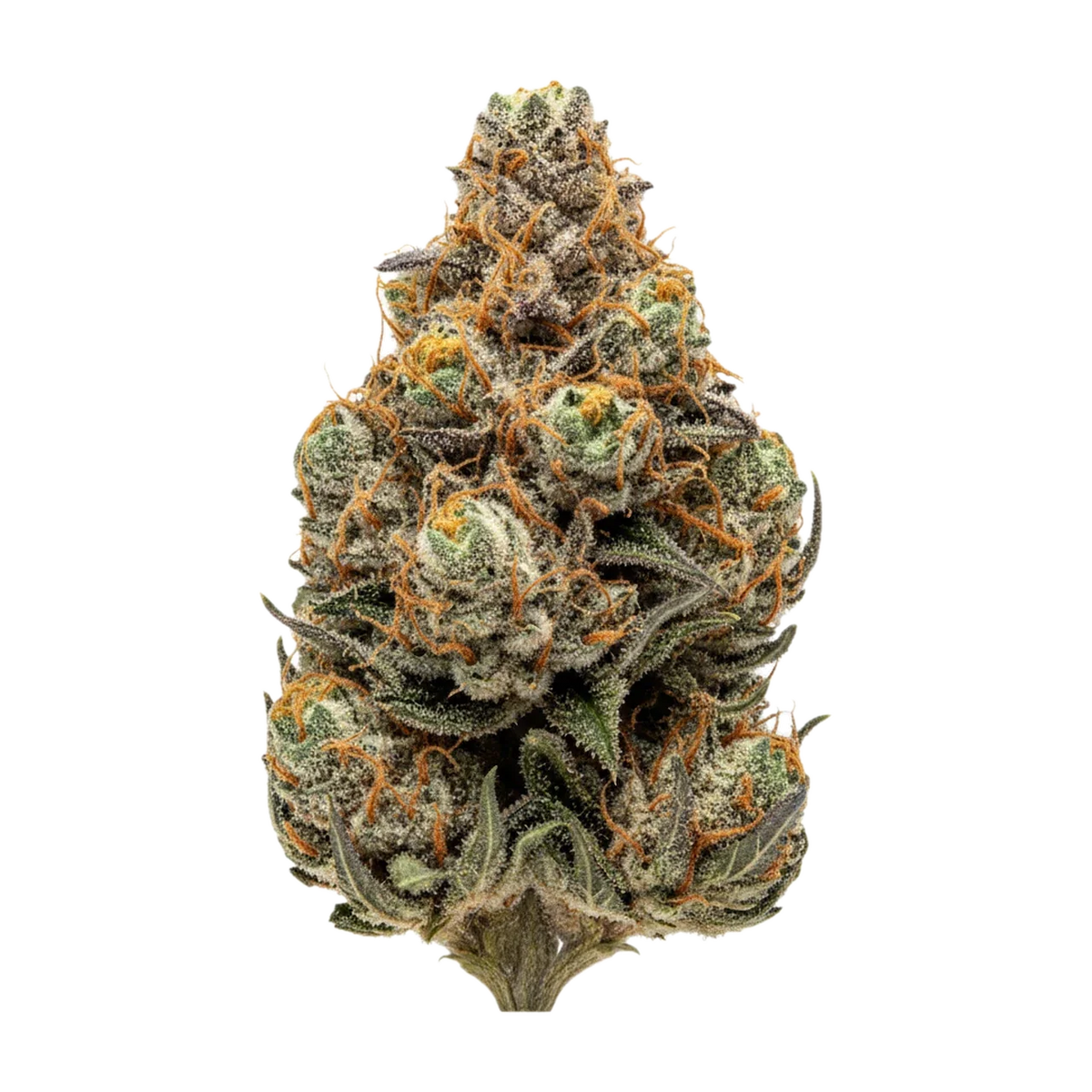 KI-generierte Illustration einer Cannabisblüte, zeigt nicht die tatsächliche Charge – enua JFG "Jet Fuel Gelato"