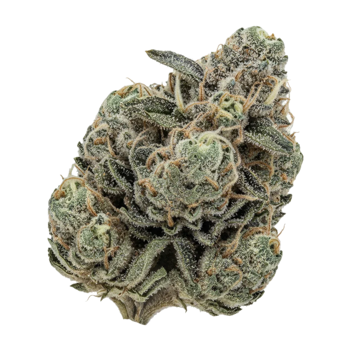 KI-generierte Illustration einer Cannabisblüte, zeigt nicht die tatsächliche Charge – enua 33/1 PCB "Purps Crystal Breath"