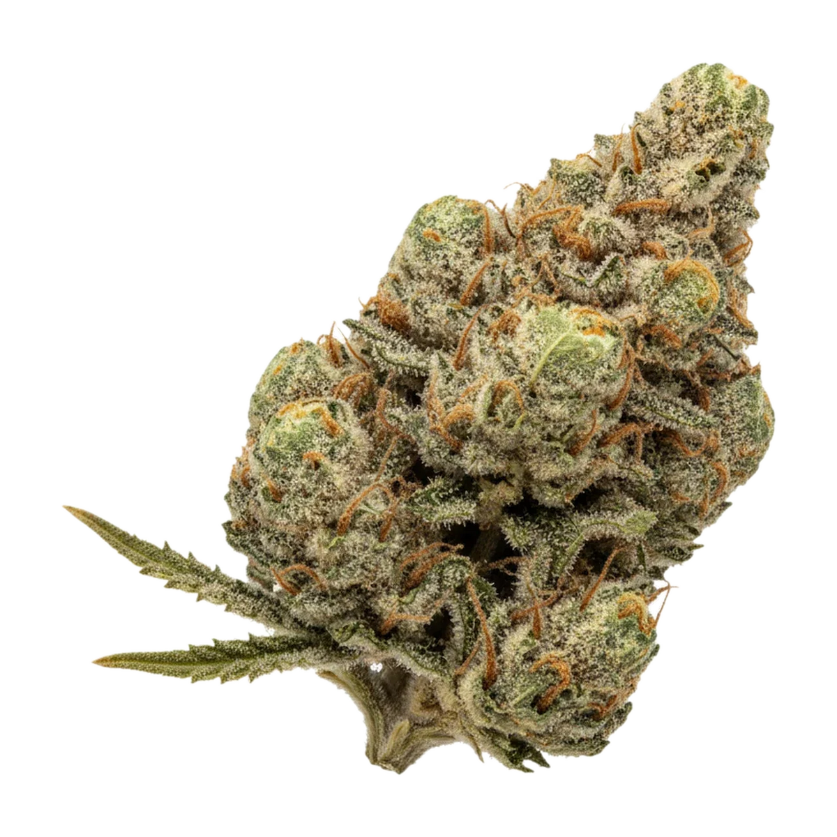 KI-generierte Illustration einer Cannabisblüte, zeigt nicht die tatsächliche Charge – Enua Slouu 22/1 FPG "Frosted Platinum Girl"