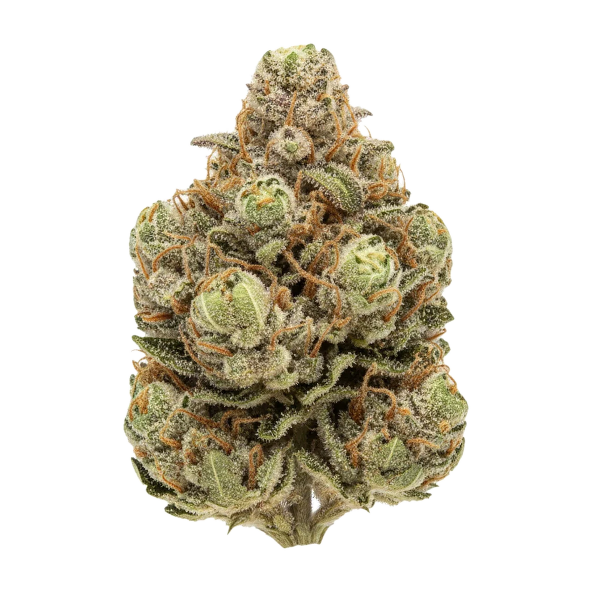 KI-generierte Illustration einer Cannabisblüte, zeigt nicht die tatsächliche Charge – Growmotion 27/1 TJ "Tricho Jordan"