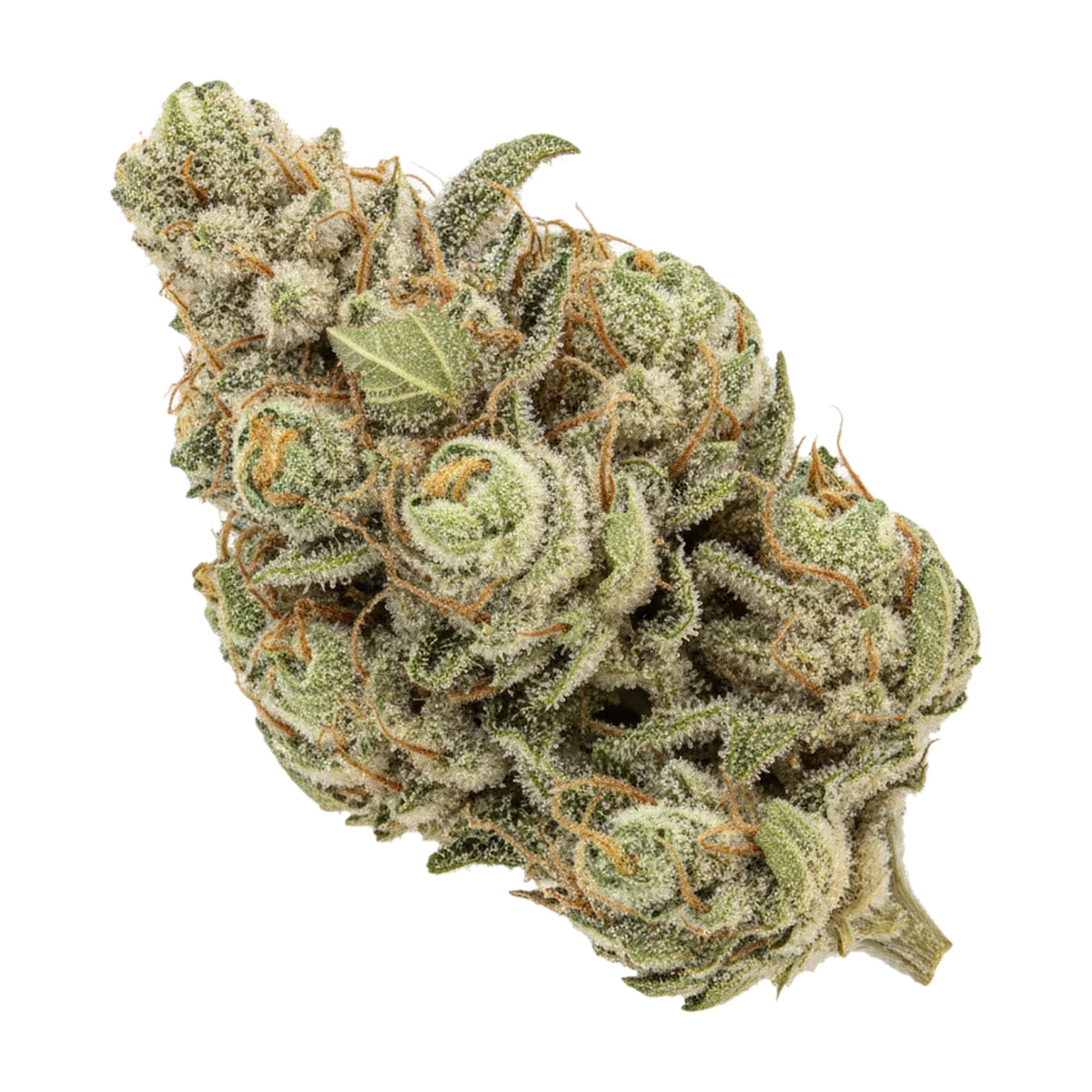 KI-generierte Illustration einer Cannabisblüte, zeigt nicht die tatsächliche Charge – Huala 22/1 CA WOT "Whiteout"