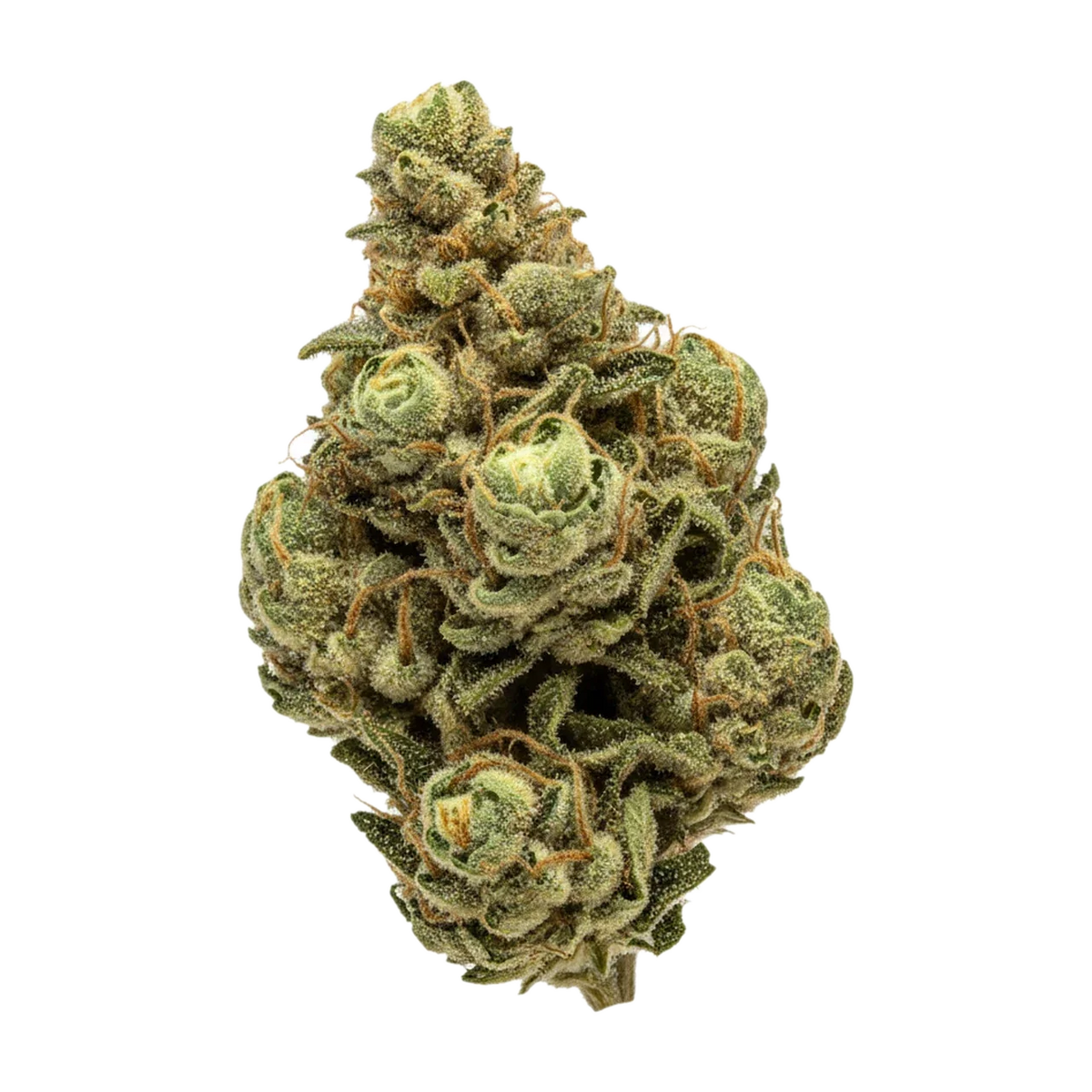 KI-generierte Illustration einer Cannabisblüte, zeigt nicht die tatsächliche Charge – Huala 22/1 GVZ "Guavaz"