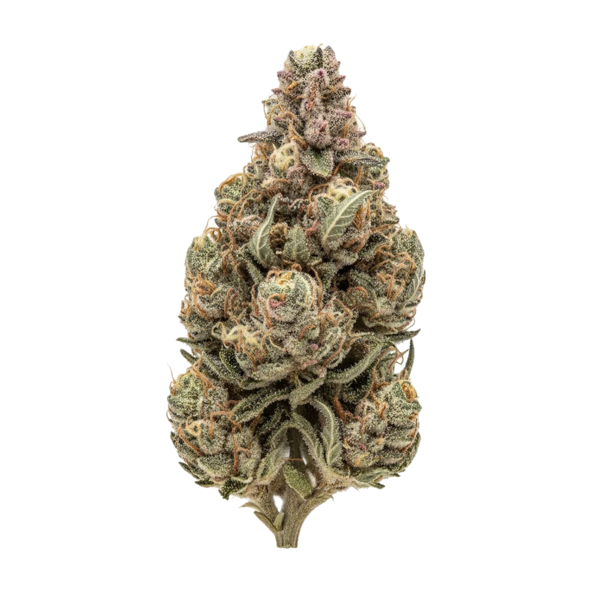 KI-generierte Illustration einer Cannabisblüte, zeigt nicht die tatsächliche Charge – DEMECAN PS NOIR 30/1 "Mint Noir"
