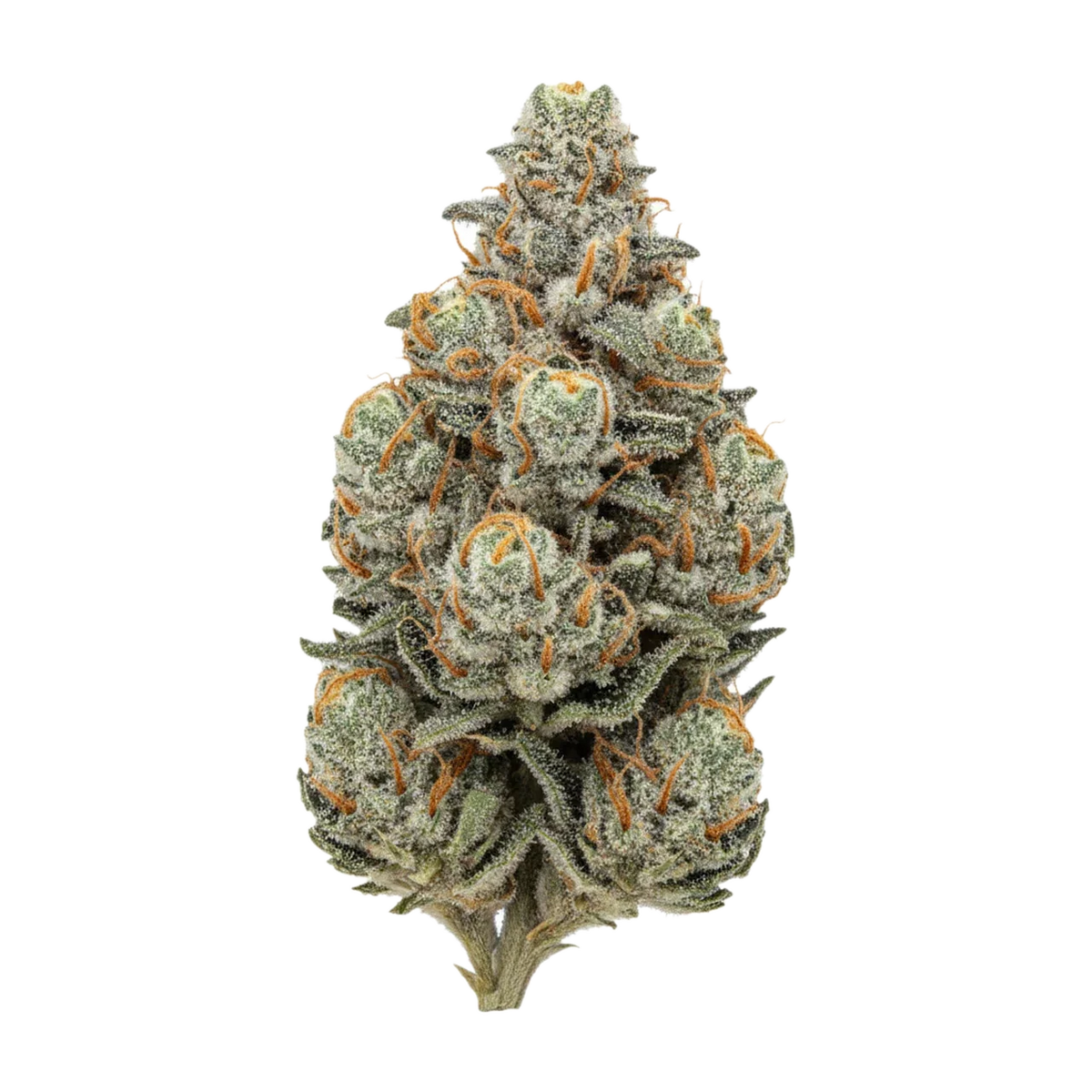 KI-generierte Illustration einer Cannabisblüte, zeigt nicht die tatsächliche Charge – Huala 27/1 OSB "Orange Sherbet"