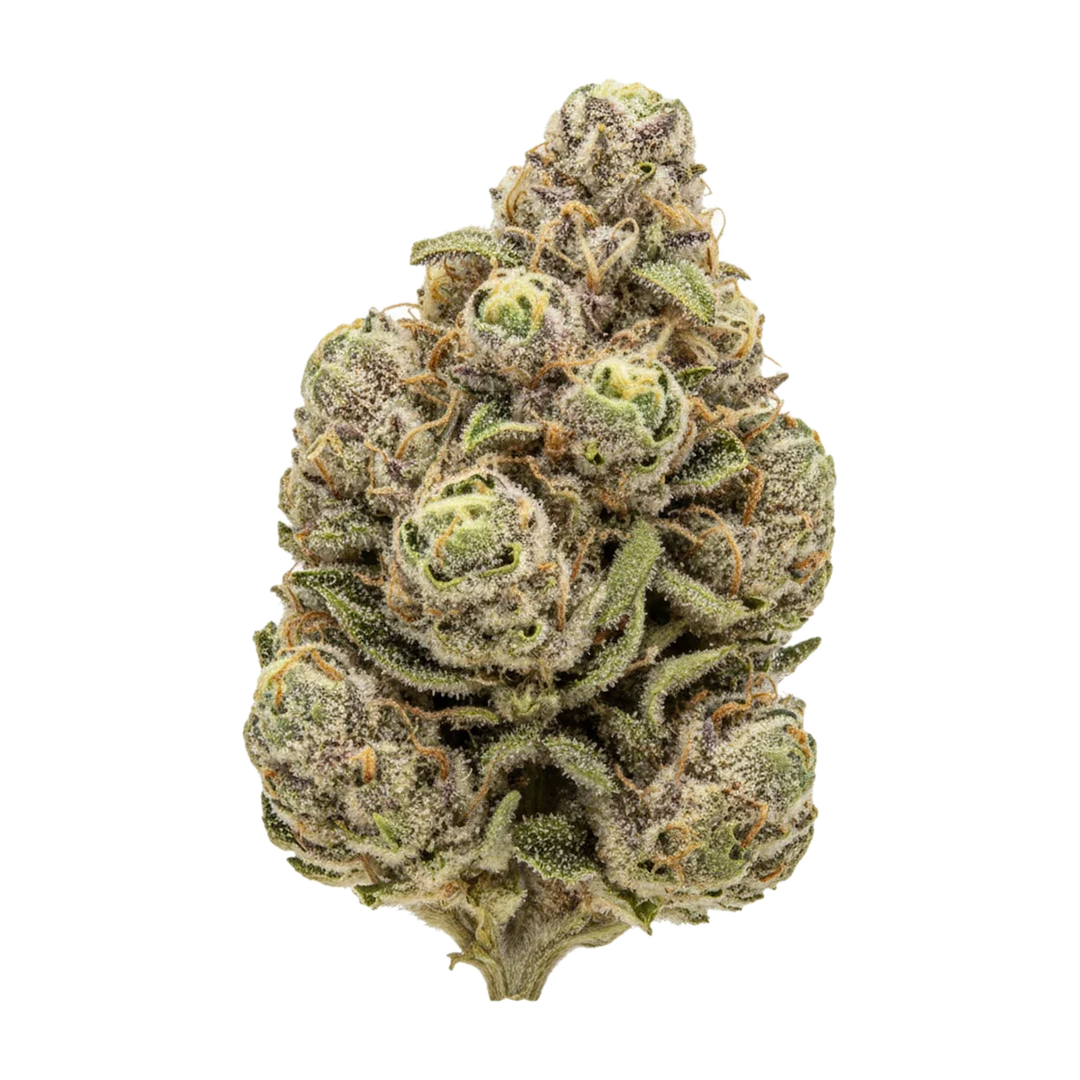KI-generierte Illustration einer Cannabisblüte, zeigt nicht die tatsächliche Charge – Huala 27/1 PIG "Pink Gasoline"