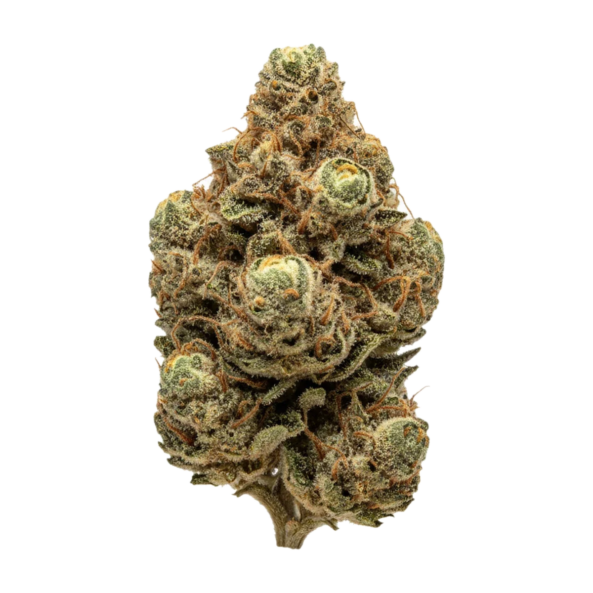 KI-generierte Illustration einer Cannabisblüte, zeigt nicht die tatsächliche Charge – Huala POG "Pineapple God"