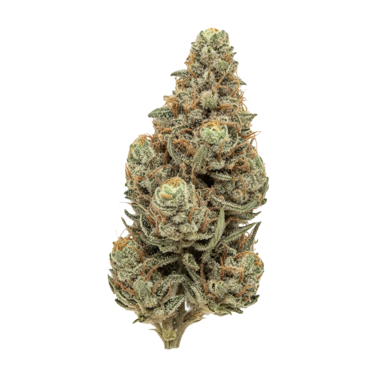 KI-generierte Illustration einer Cannabisblüte, zeigt nicht die tatsächliche Charge – Huala 30/1 GOL "Goldkirsch"