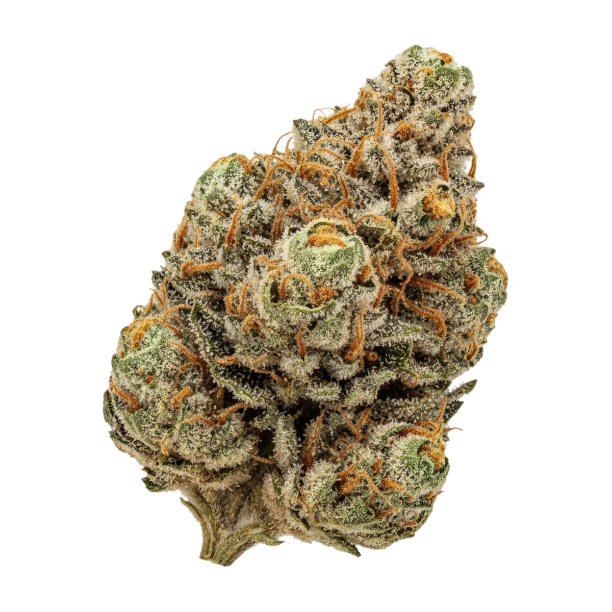 KI-generierte Illustration einer Cannabisblüte, zeigt nicht die tatsächliche Charge – J.R. Strain GT 30/1 "Garlic Truffle"