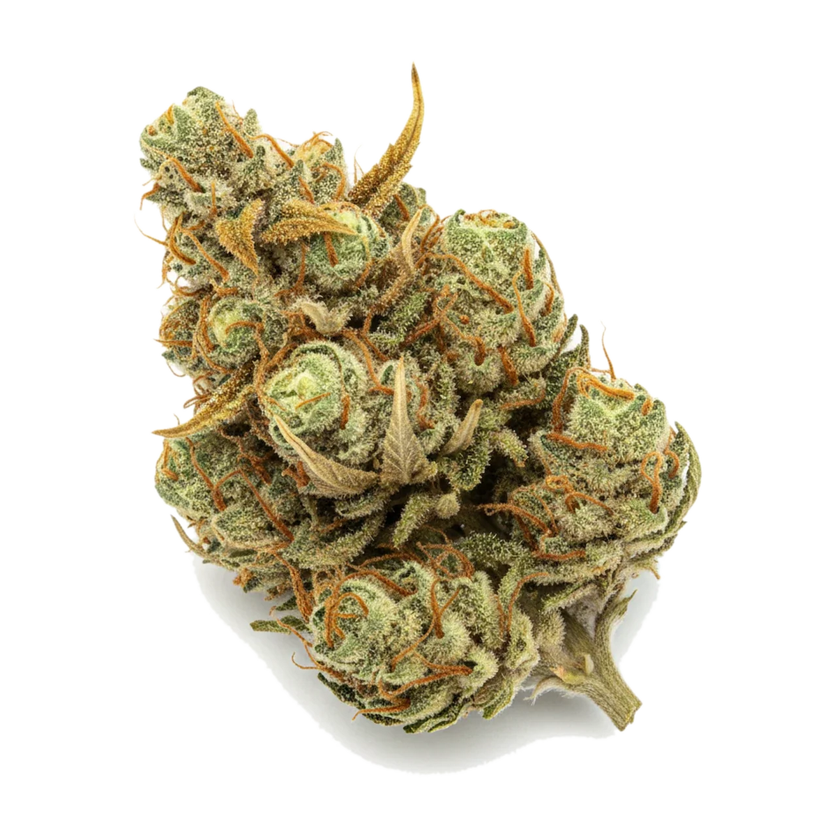 KI-generierte Illustration einer Cannabisblüte, zeigt nicht die tatsächliche Charge – Kana Craft 30/1 BAC "Banana Cake"